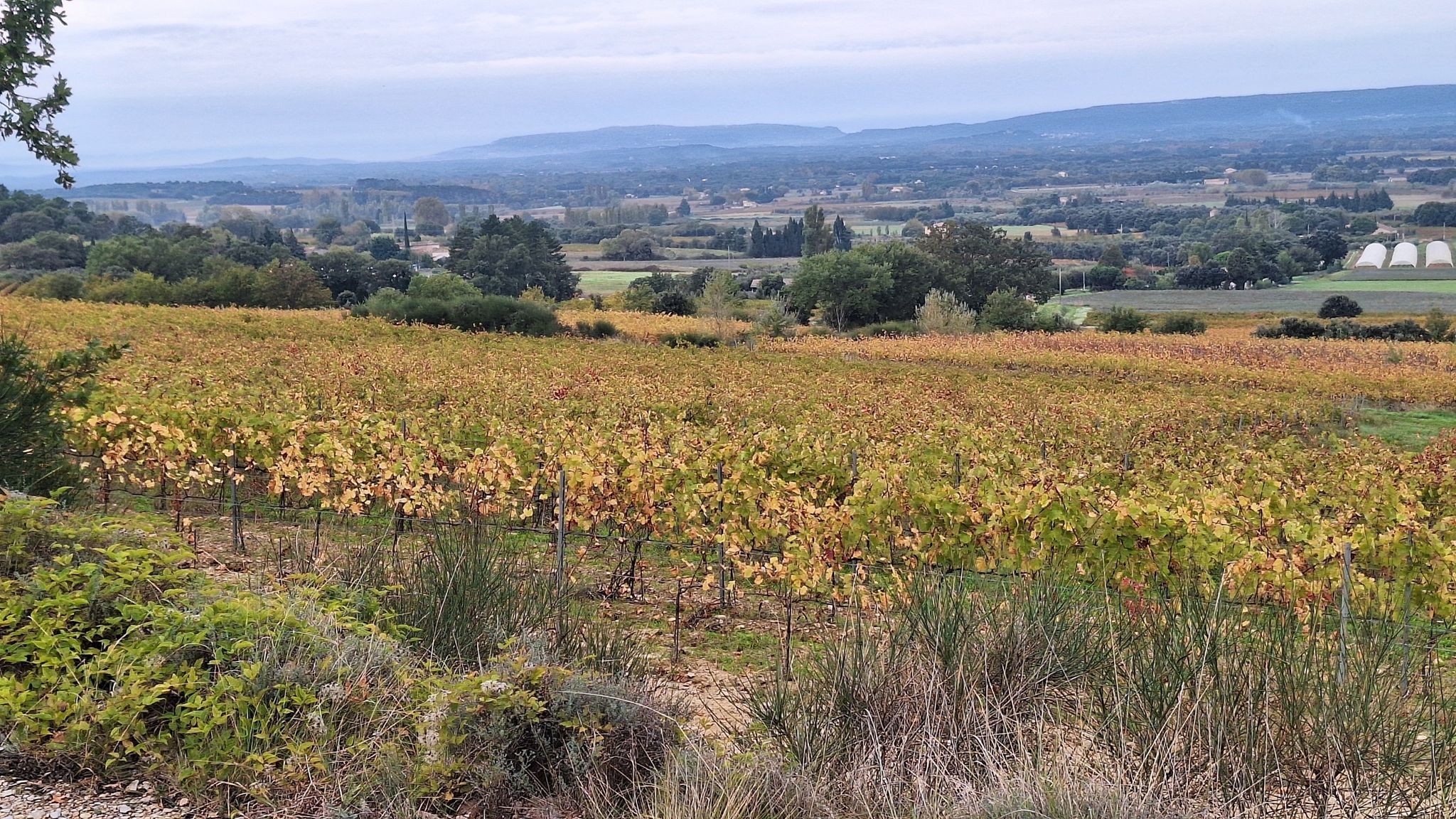 Route de St-Maurice-sur-Eygues.