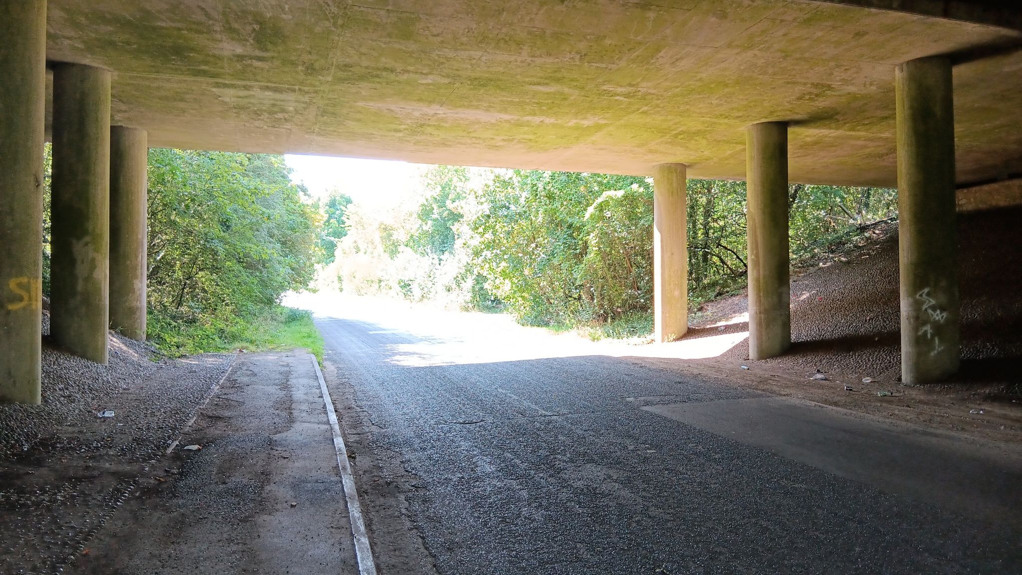 Under the M2 near Milstead