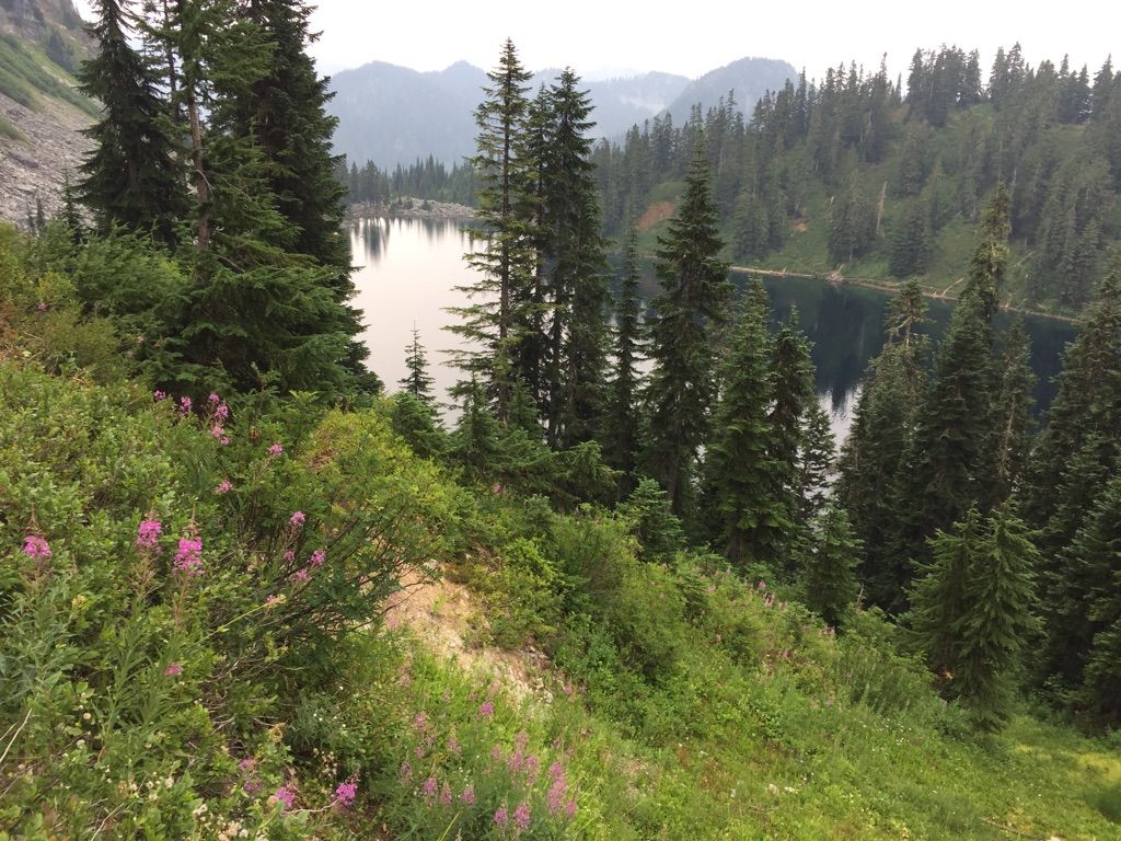 Mountain lake surrounded by evergreen trees and wildflowers under overcast skies. - Lake Valhalla Trail