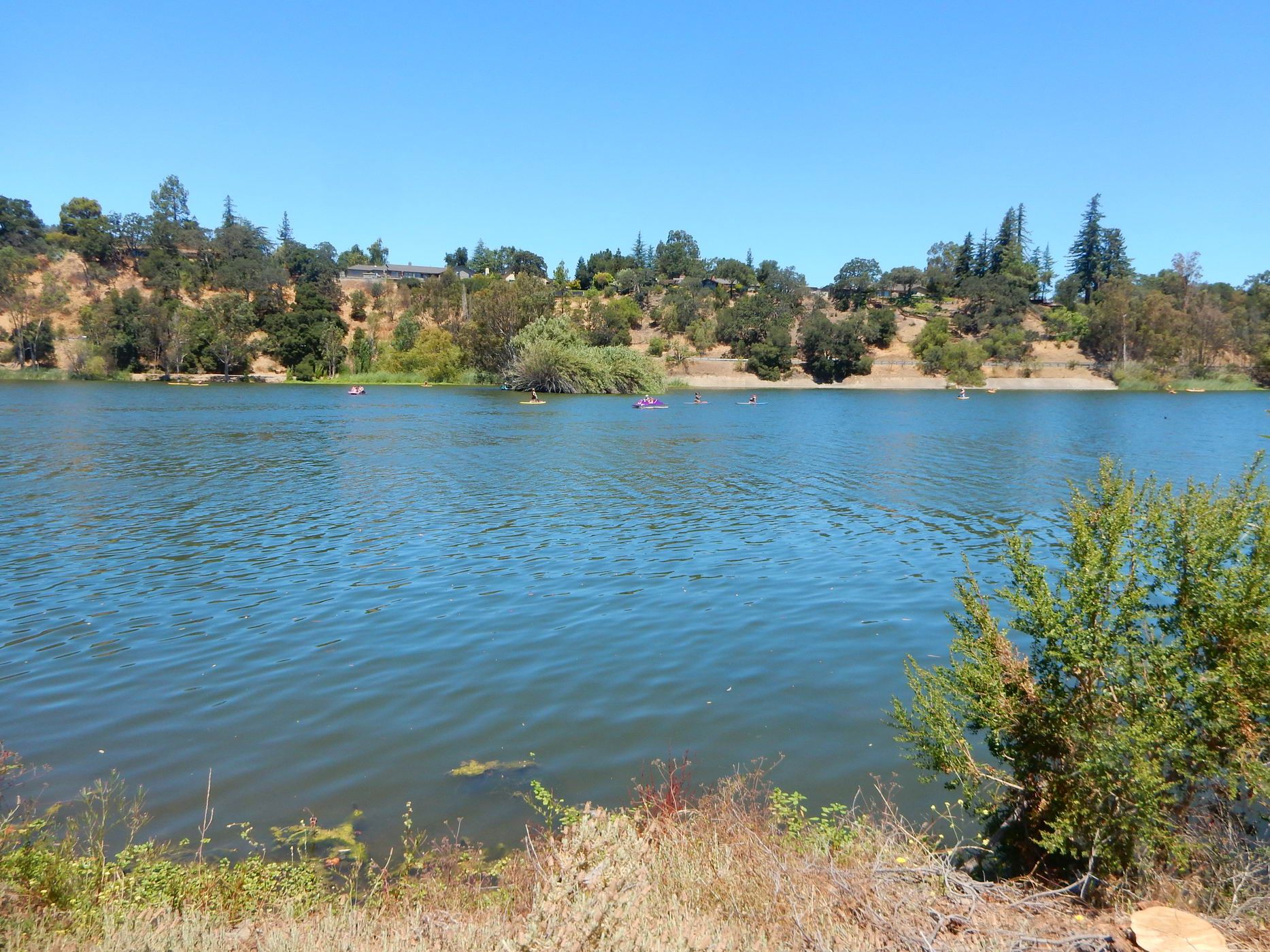 Wide blue lake with kayakers and tree-covered hills under a clear sky. - Los Gatos Creek Trail: Vasona Lake Loop