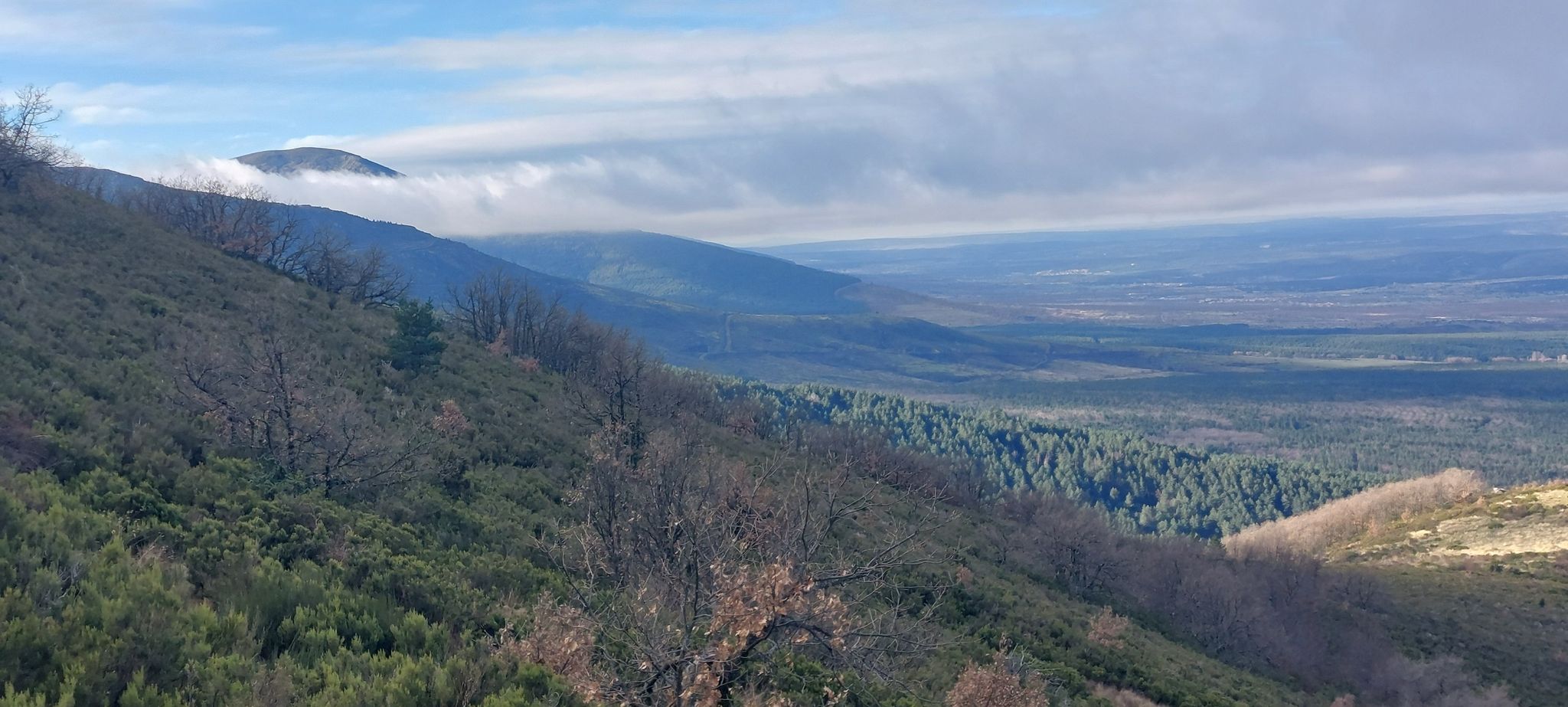 SENDERO DE MONTAÑA