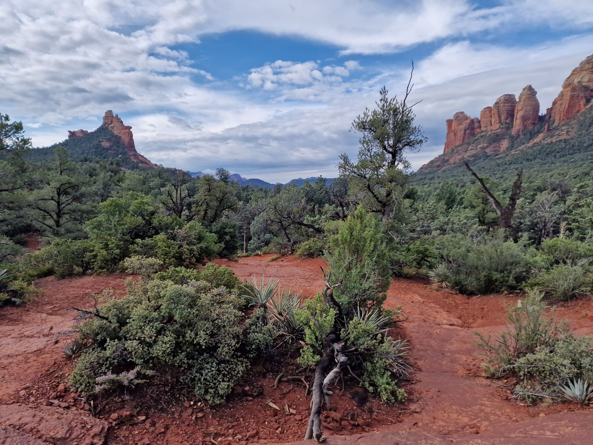 Red dirt path through green trees and shrubs, with distant red rock formations. - Soldier Pass Trail