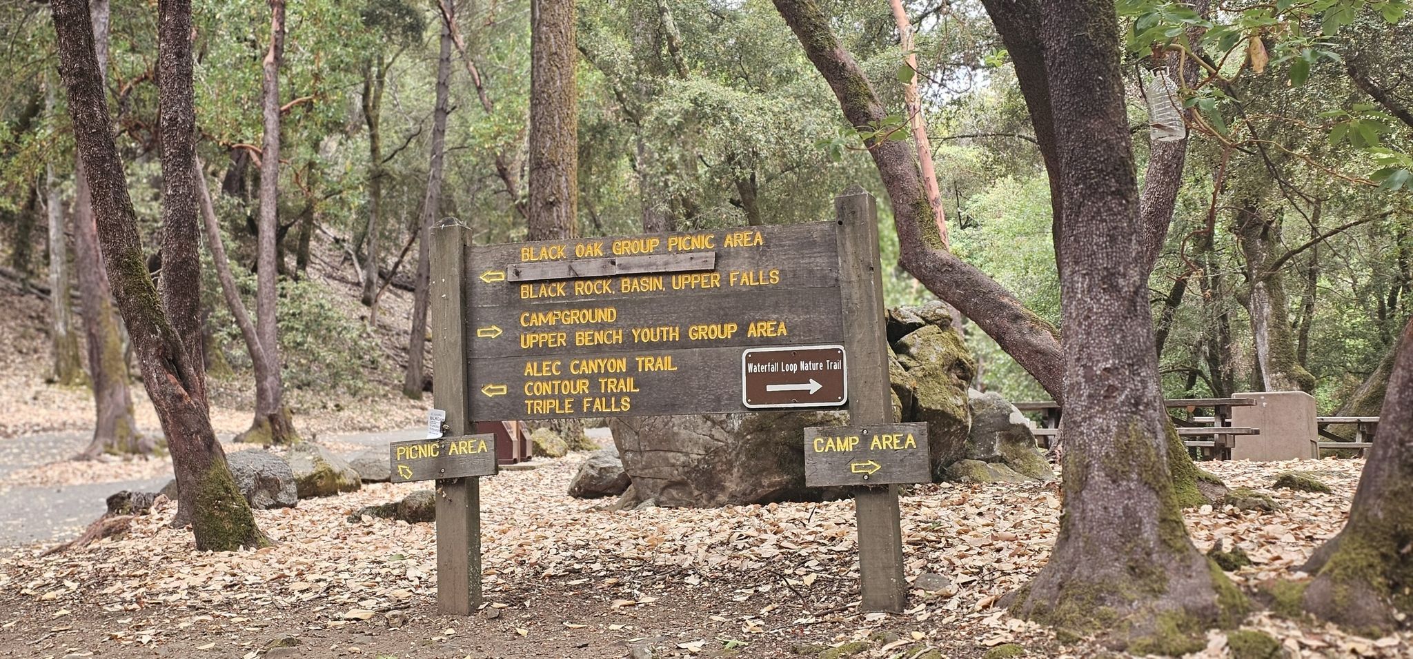 Large wooden trail sign with multiple directions stands on a forest floor. - Knibbs Knob Trail