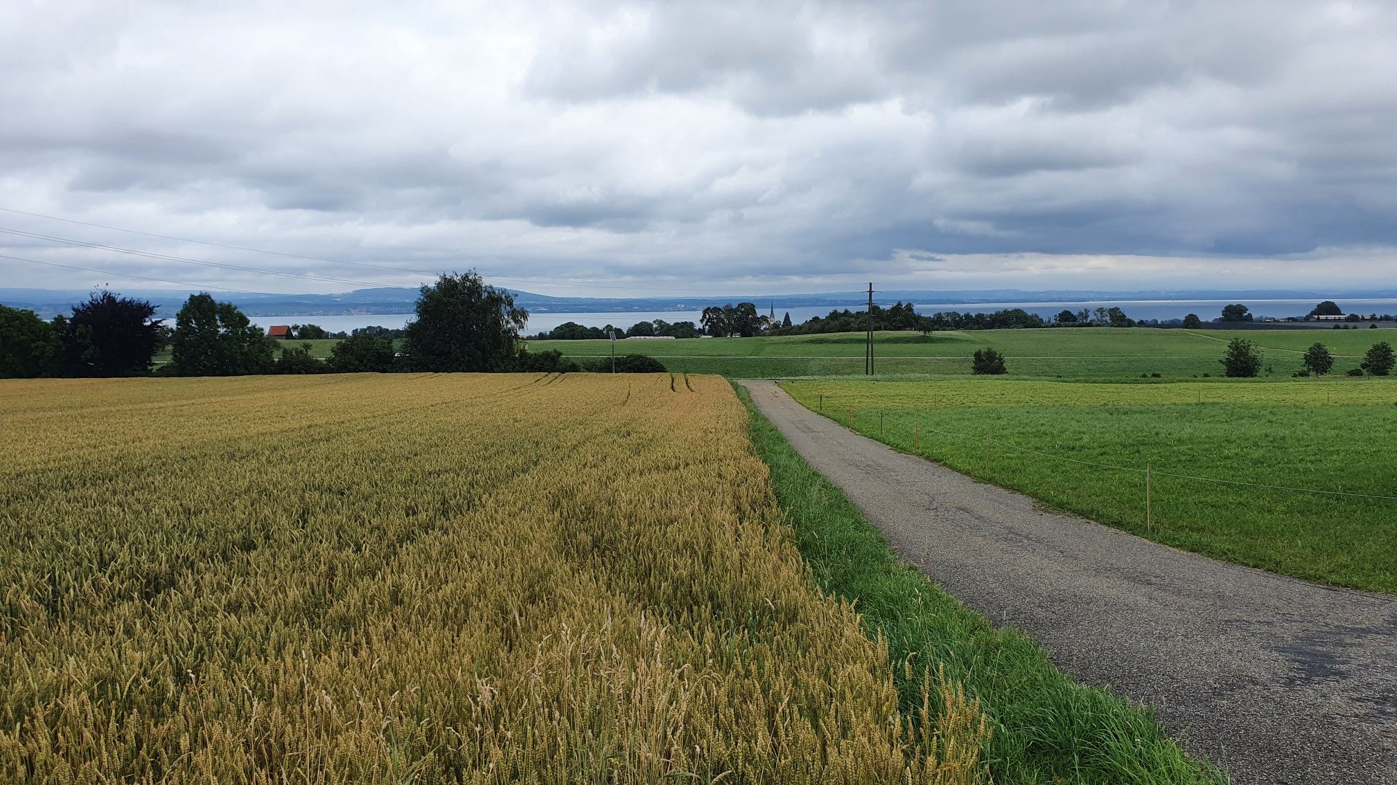 Altnau am Bodensee