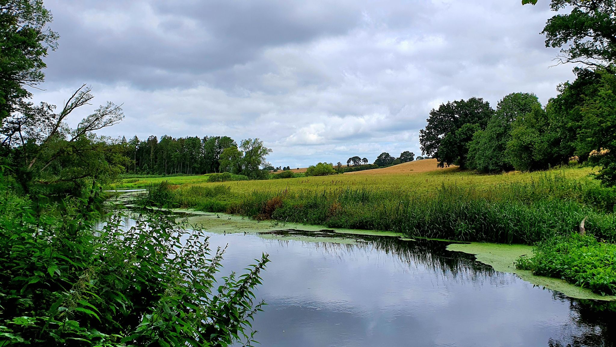 im einsamen Tal der Trave
