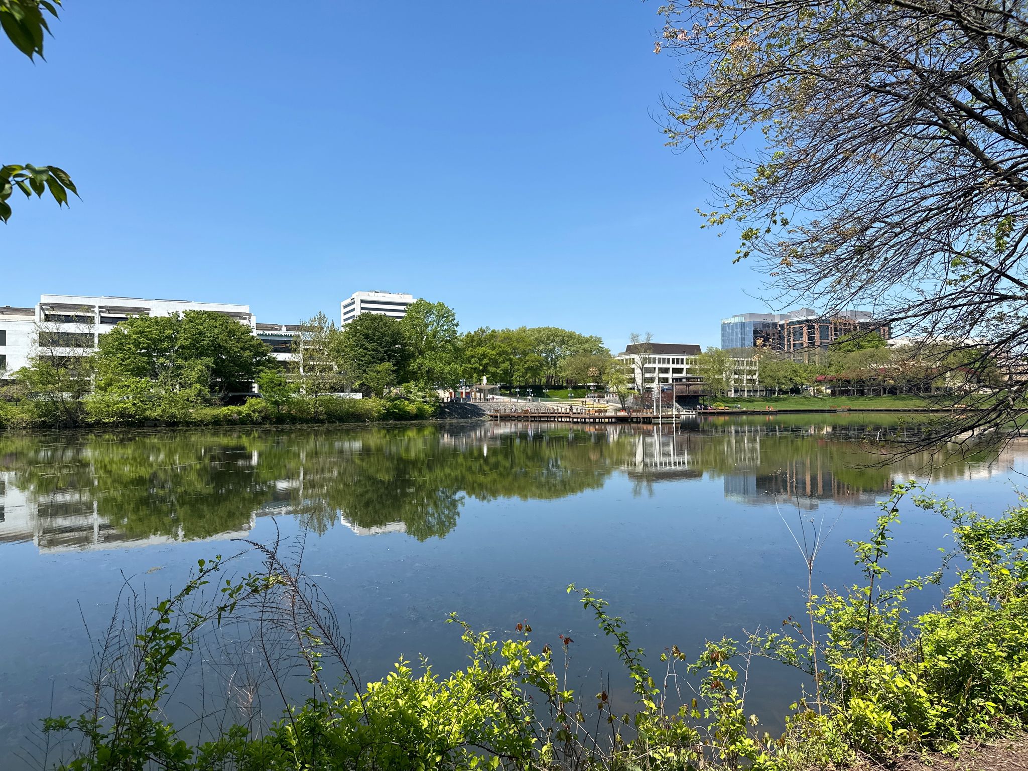 Wide lake reflecting modern buildings and green trees on a clear, sunny day. - Wilde Lake and Lake Kittamaqundi Loop