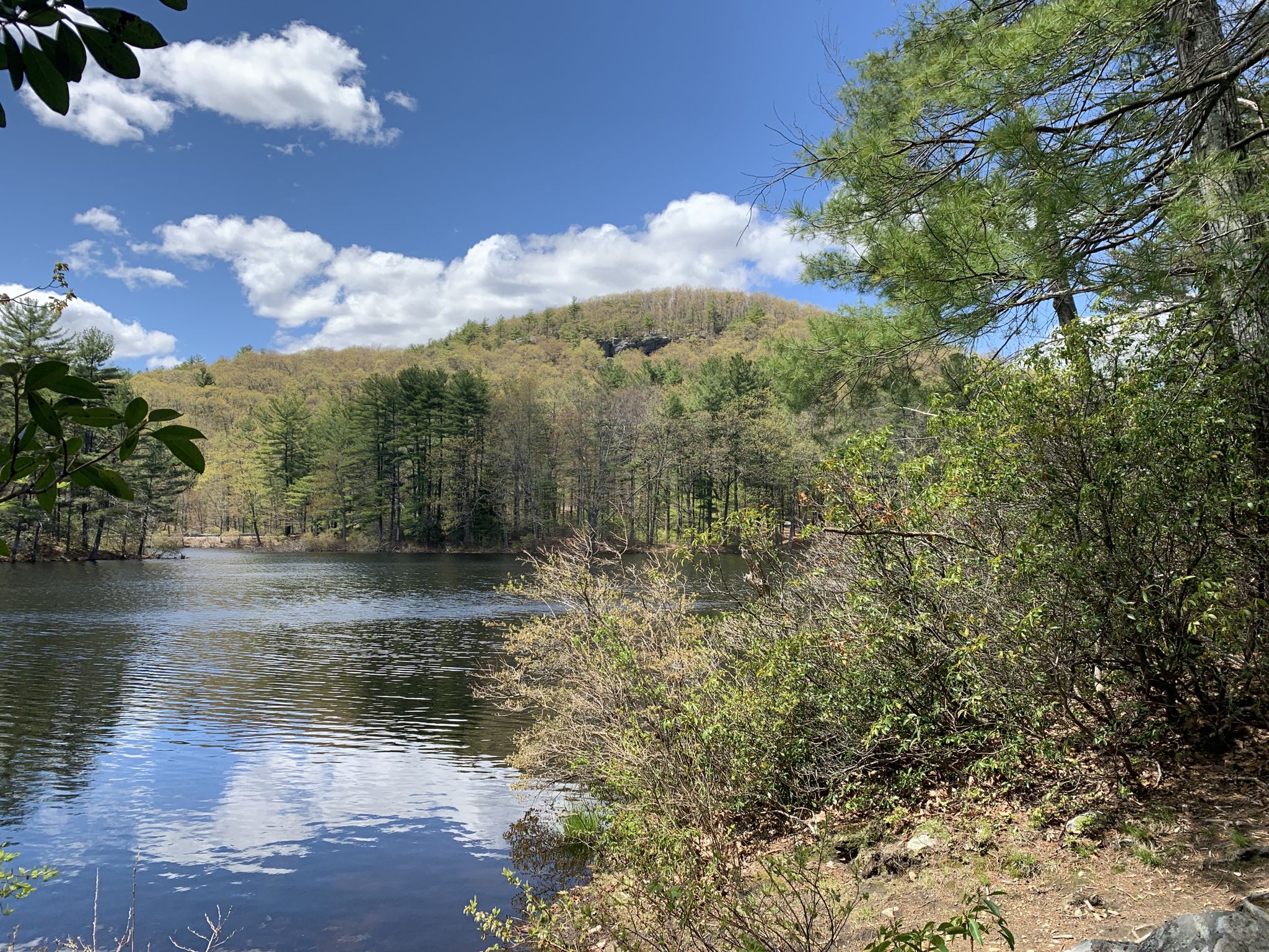 Sunny day over a calm lake reflecting clouds, surrounded by green trees and a hill. - Ball Hill Loop