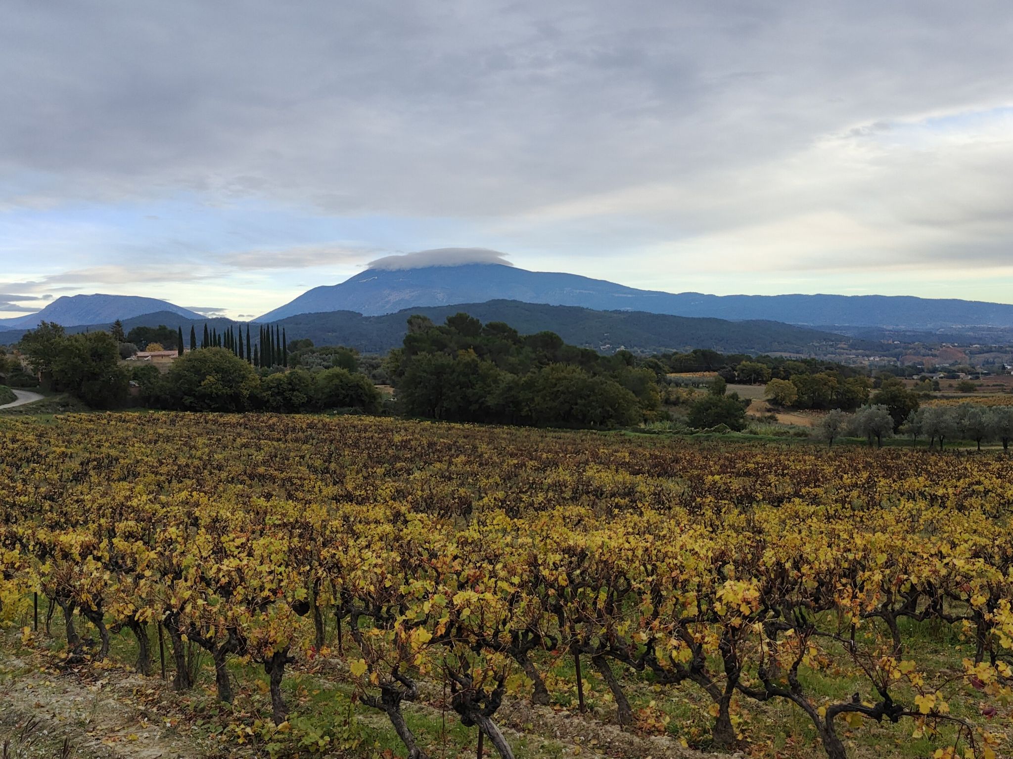Mont Ventoux