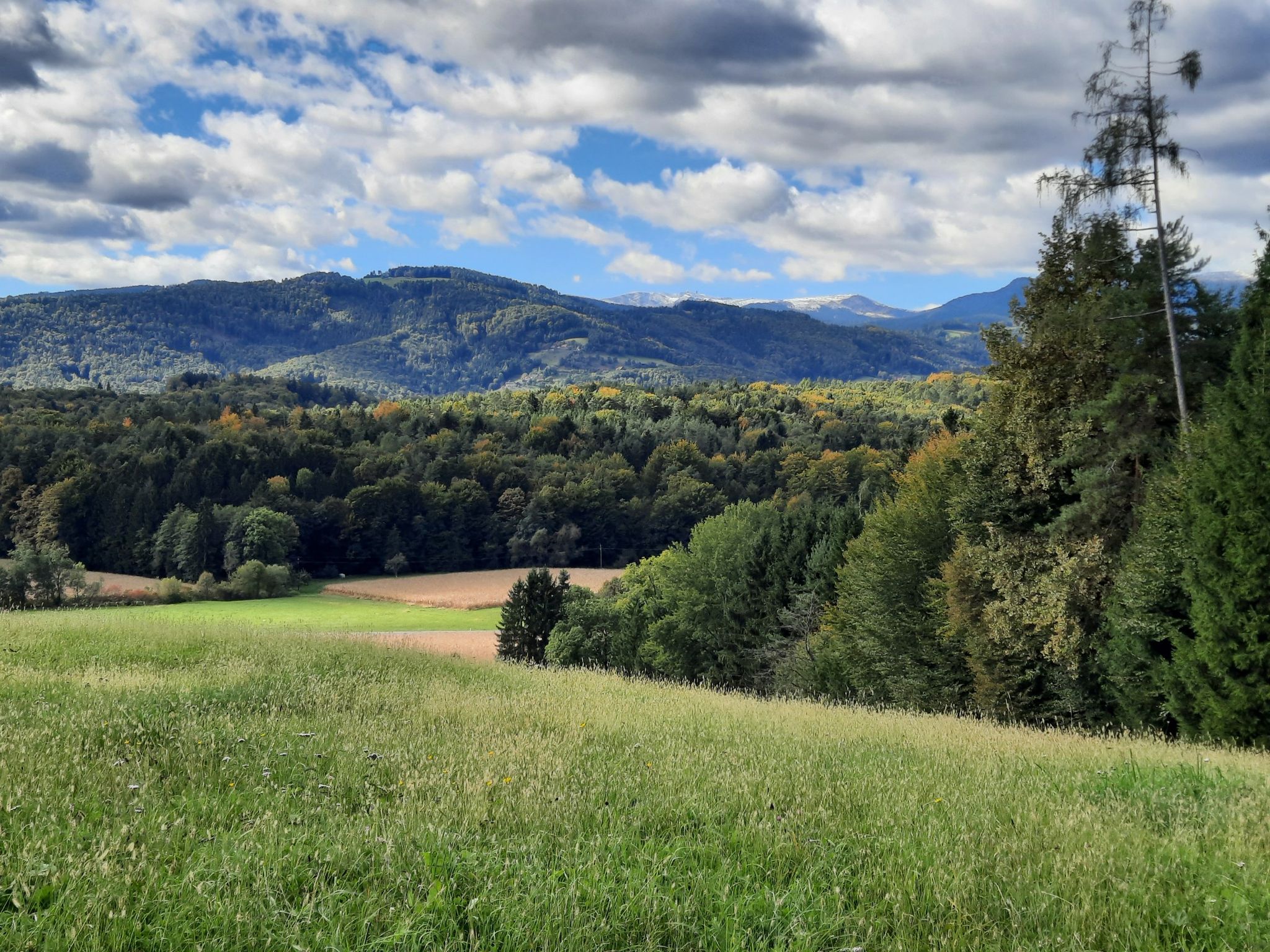 wunderschöne Südweststeiermark