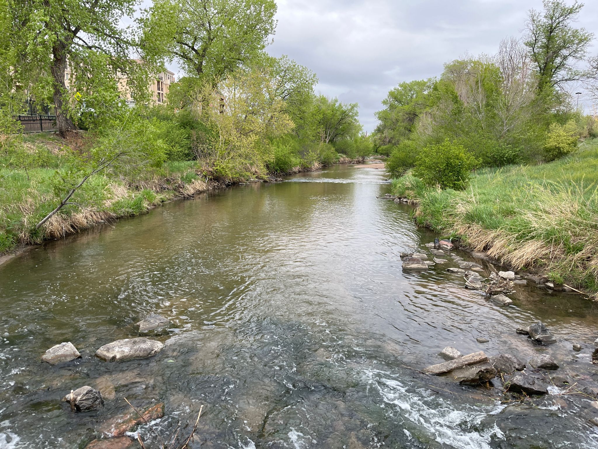 A calm river flows through lush green banks under a cloudy sky. - High Line Canal and Cherry Creek Trail Loop