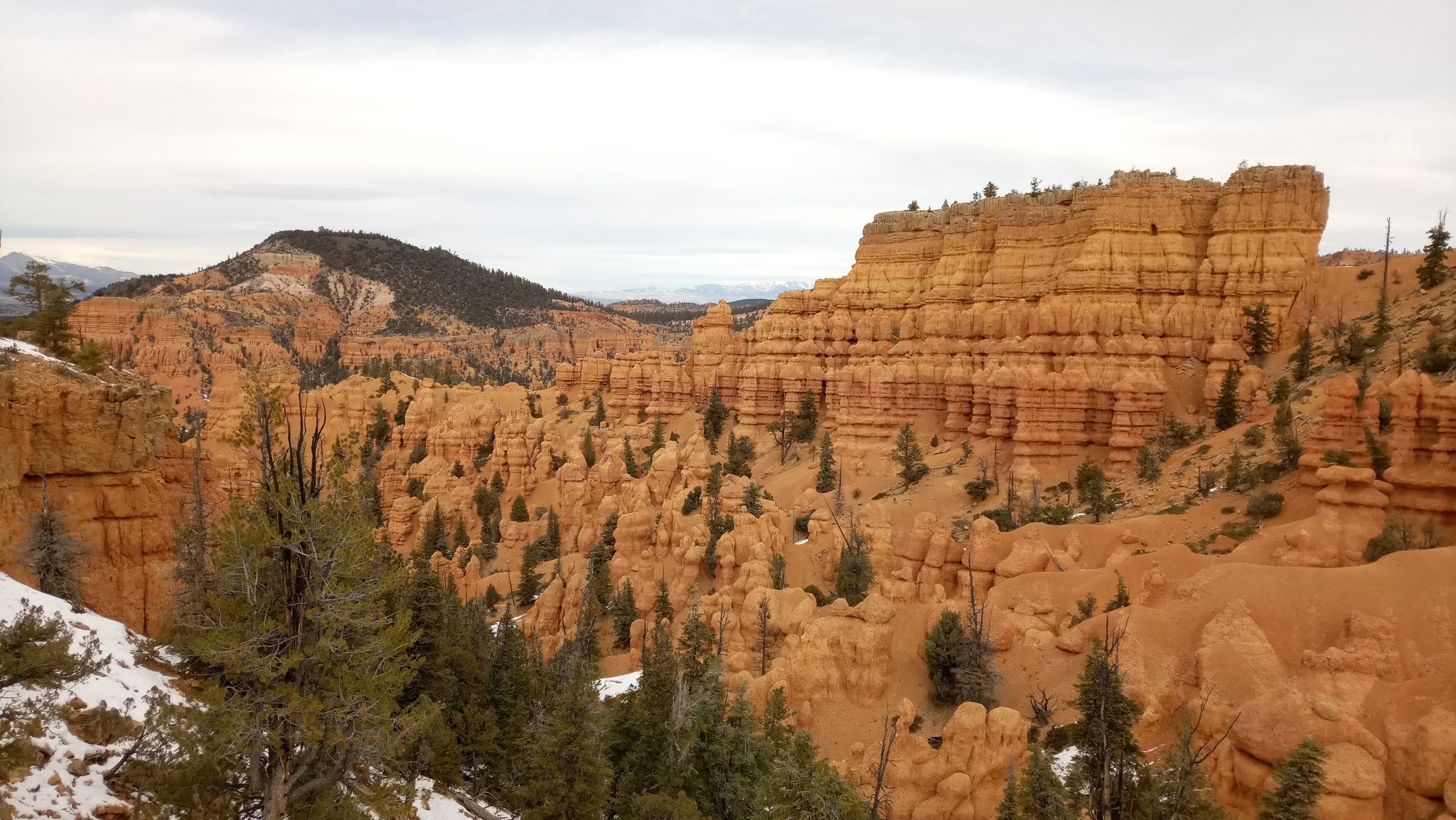 Vast landscape of red rock formations, pine trees, and patches of snow. - Golden Wall Trail to Castle Bridge Trail