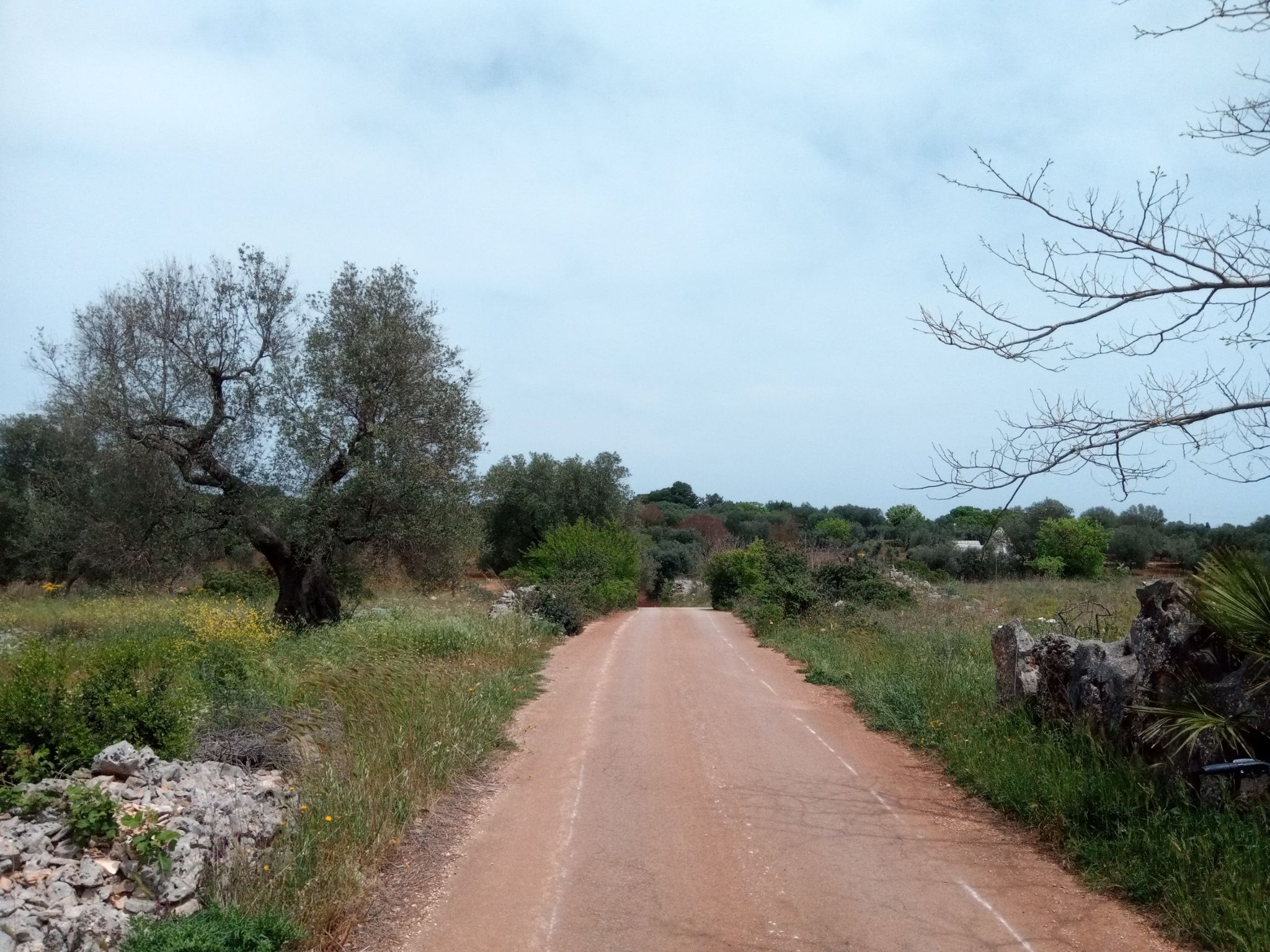 Countryside