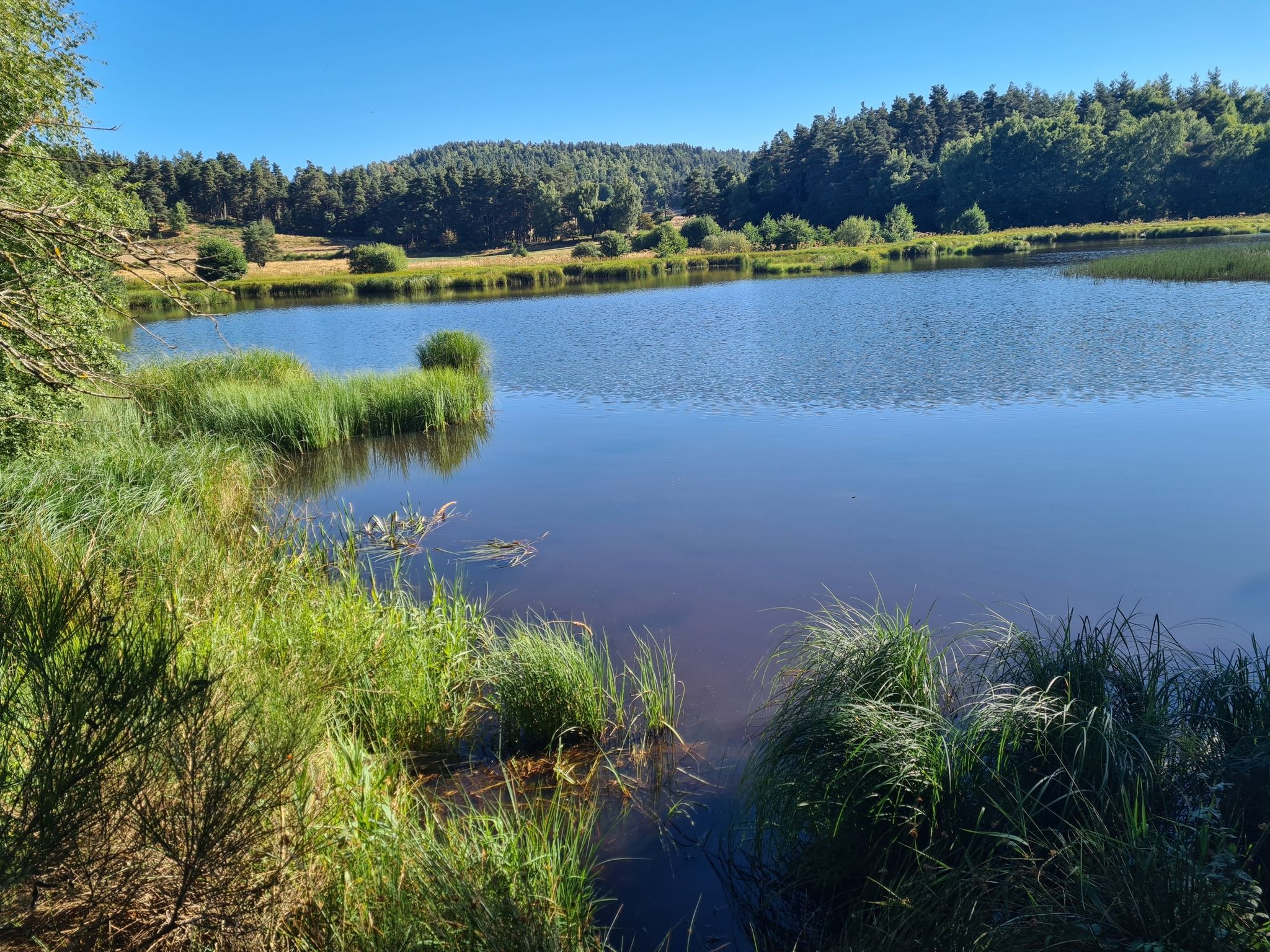 Schöner Uferweg