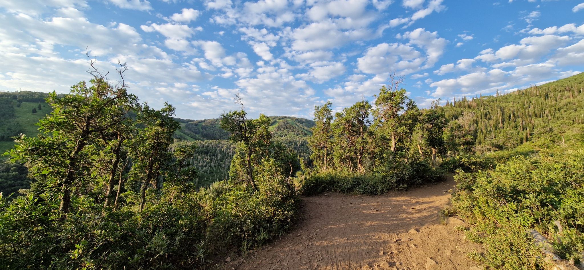 Dirt path winding through green hills under a partly cloudy sky. - Armstrong and Spiro Loop Trail