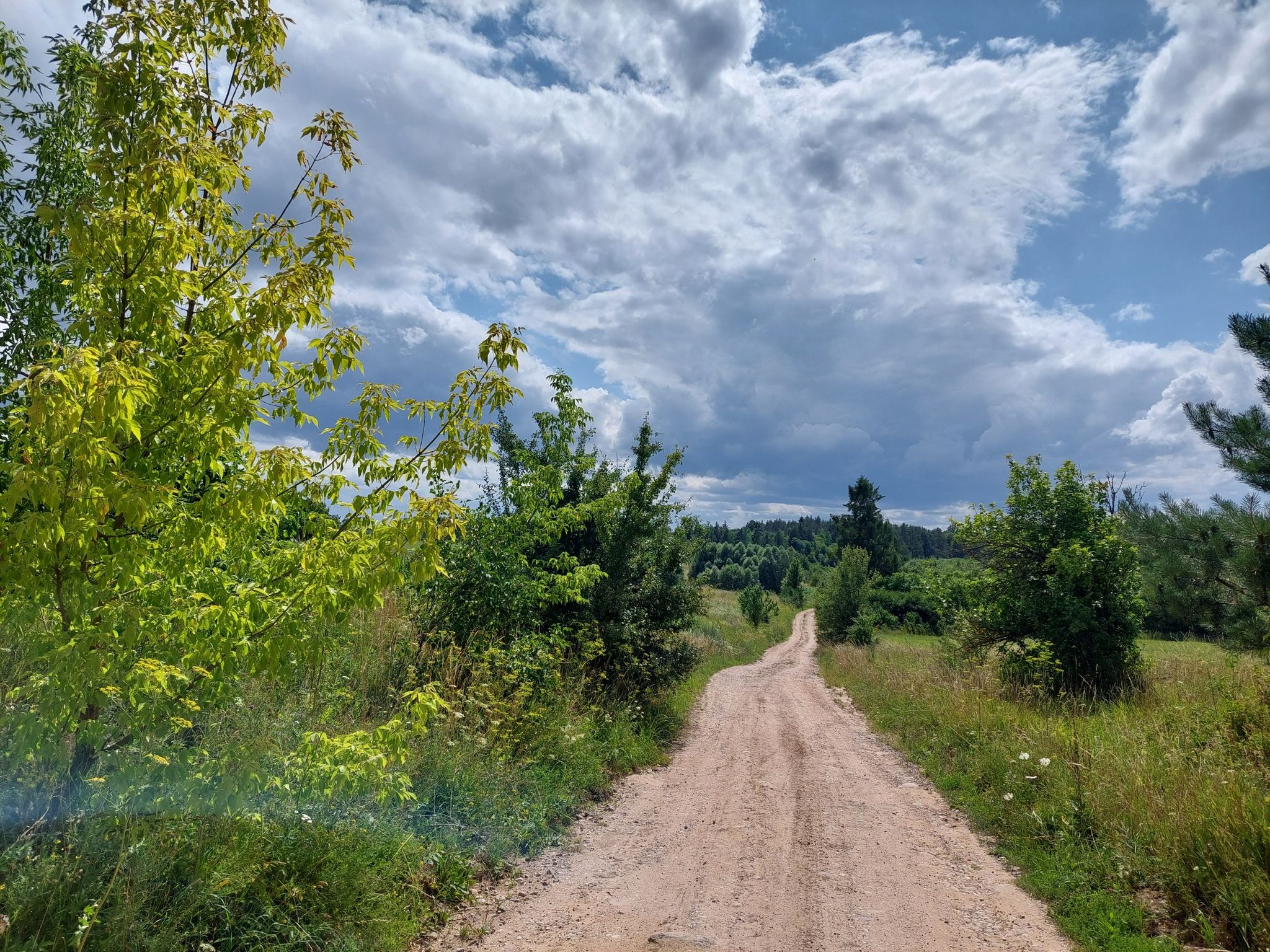 Okolice Strzelnik