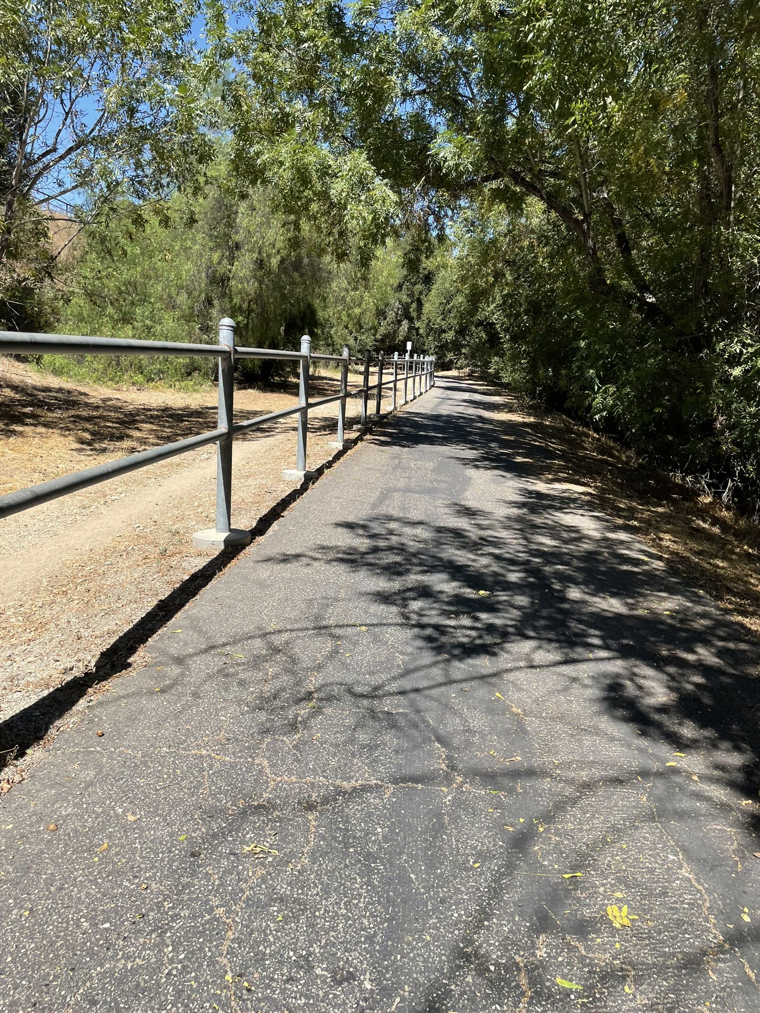 Paved path next to a metal fence, shaded by green trees on a sunny day. - Ojai-Ventura Bike Path – San Antonio Creek Bridge loop from Oak View