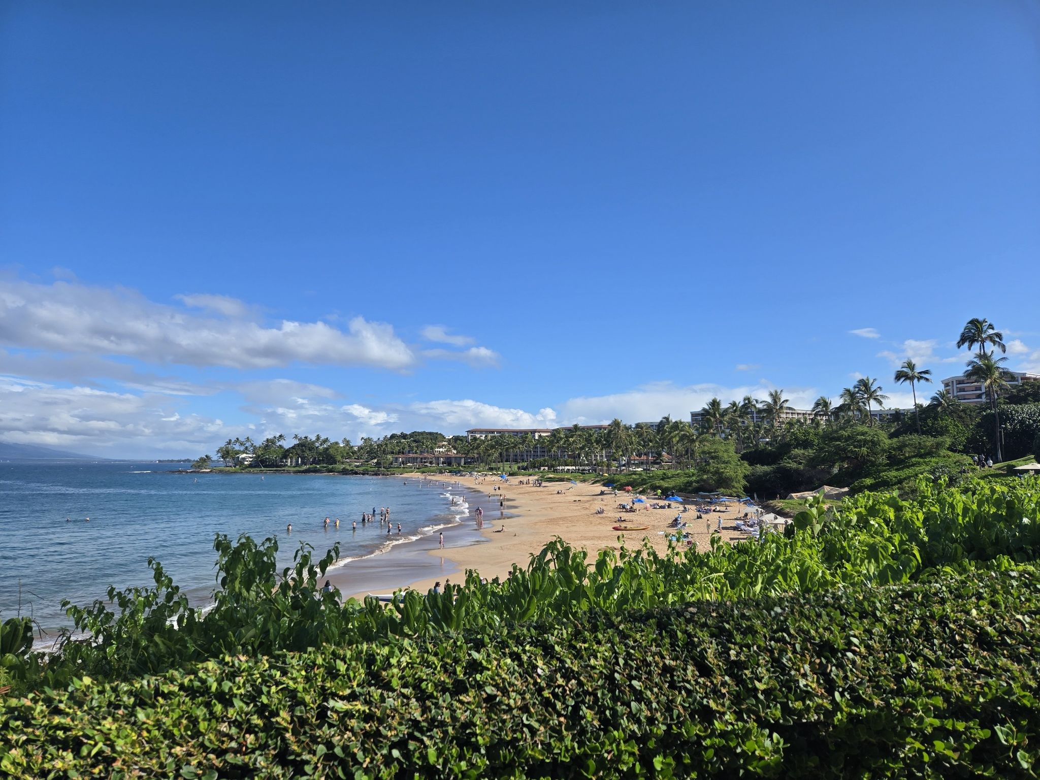 Wide sandy beach with many people, palm trees, and blue ocean. - Wailea Oceanfront Boardwalk Trail