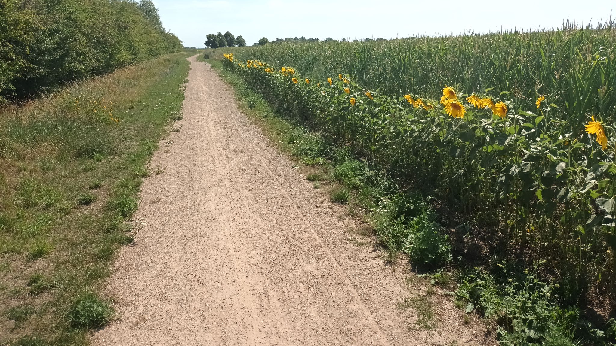 schöner Radweg nach Thalberg