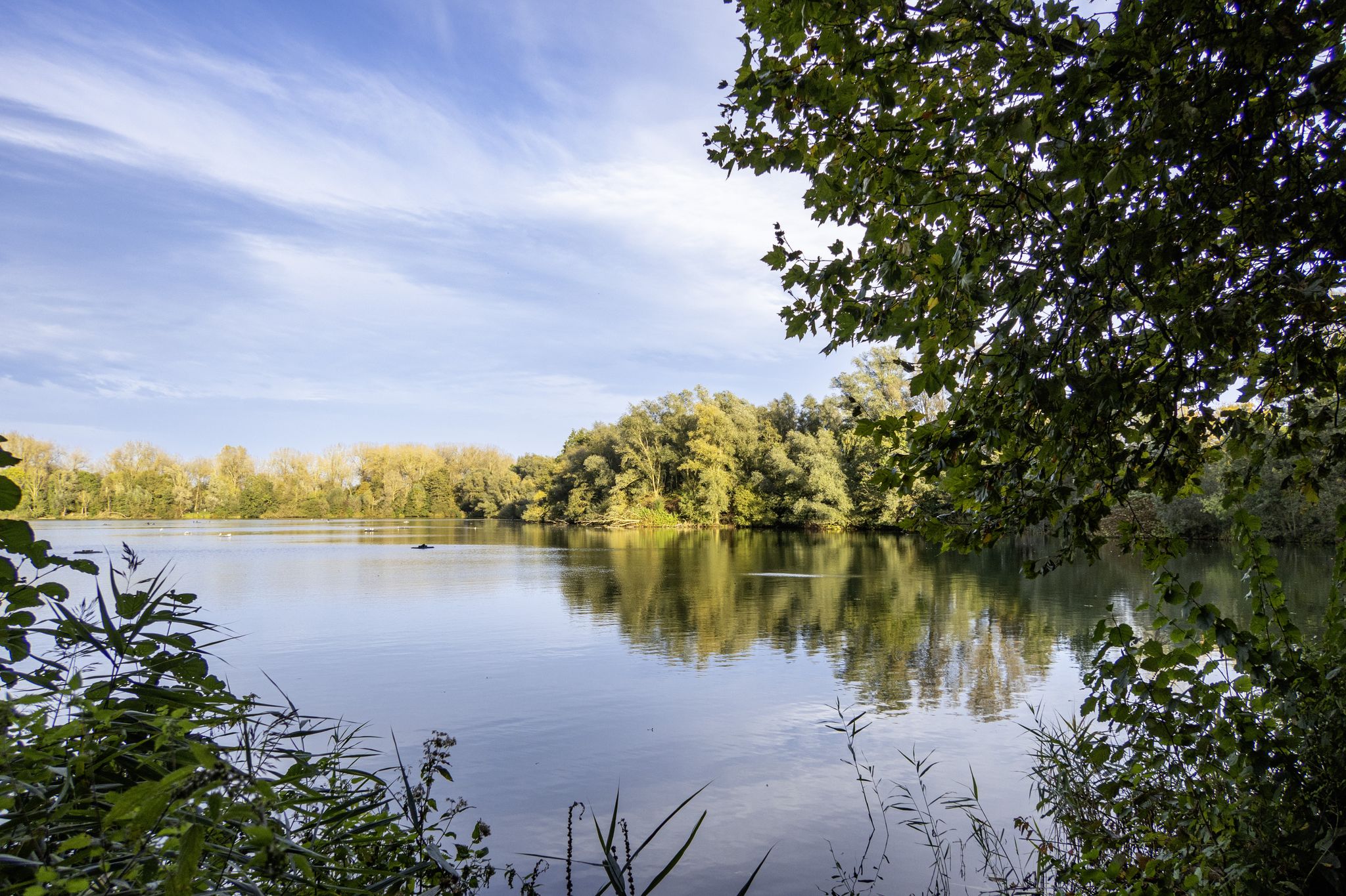 Damvallei, Destelbergen