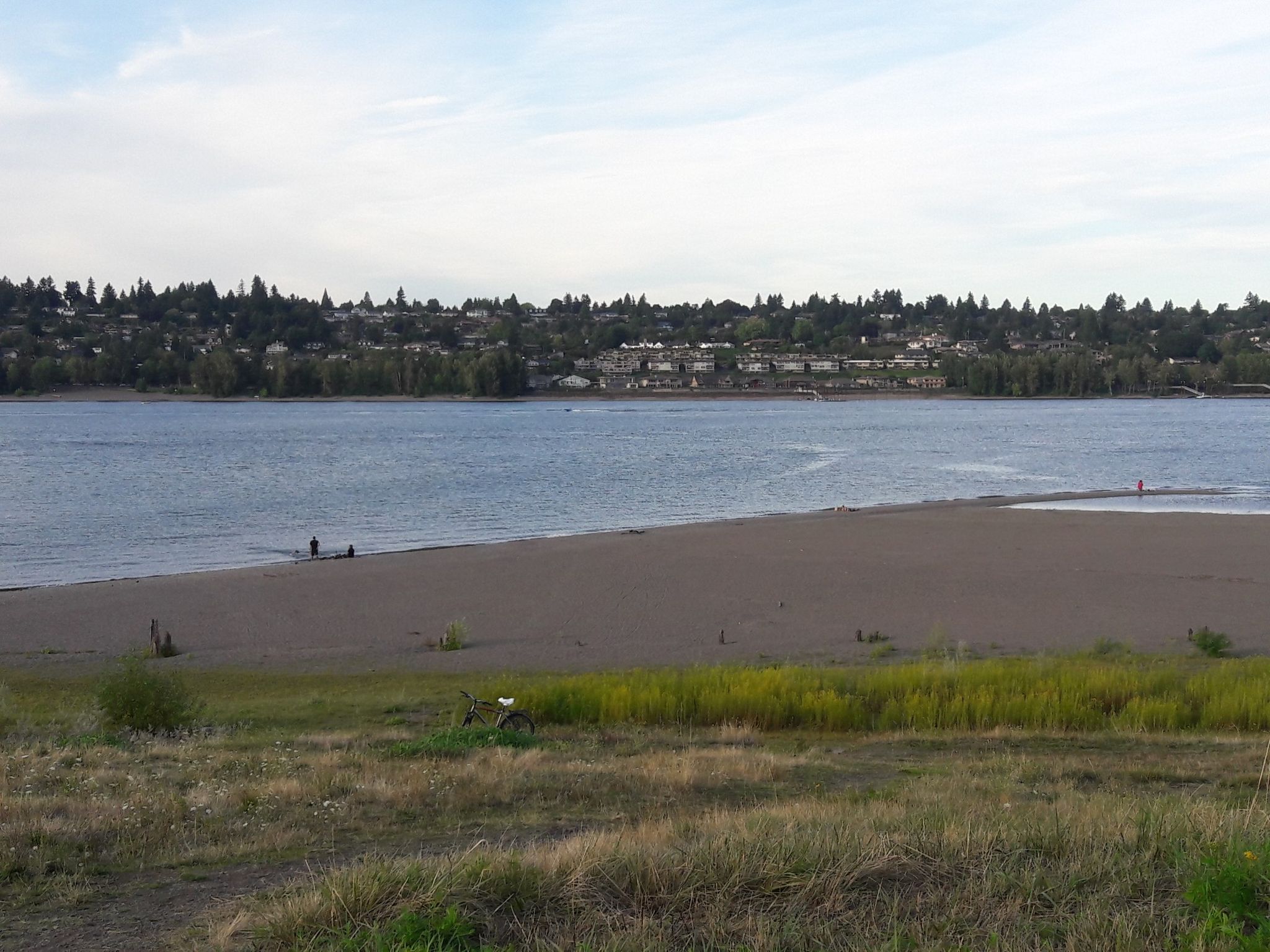 Wide river with a sandy beach and distant houses under a cloudy sky. - Broughton Beach loop from Parkrose/Sumner Transit Center