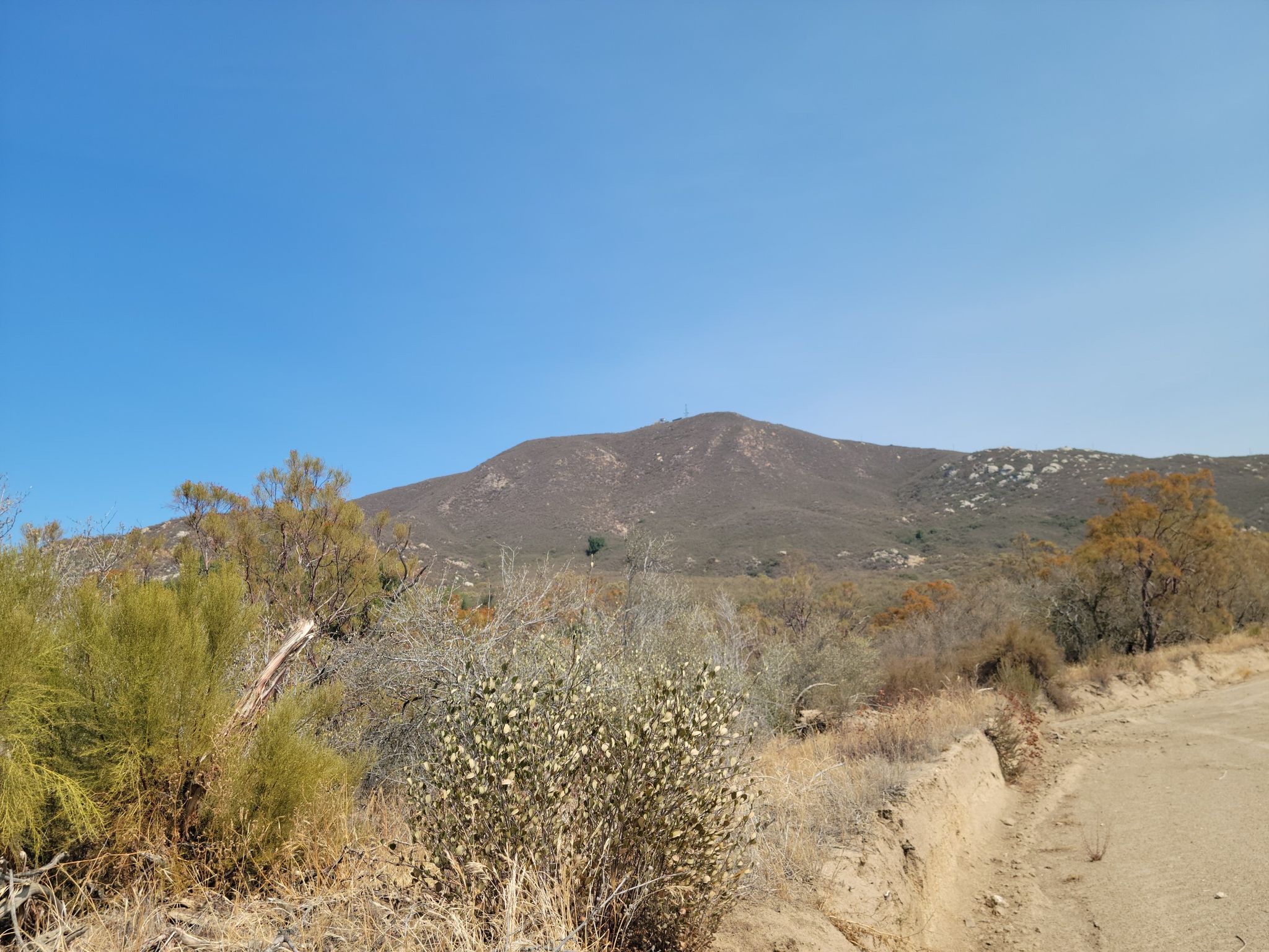 red mountain?