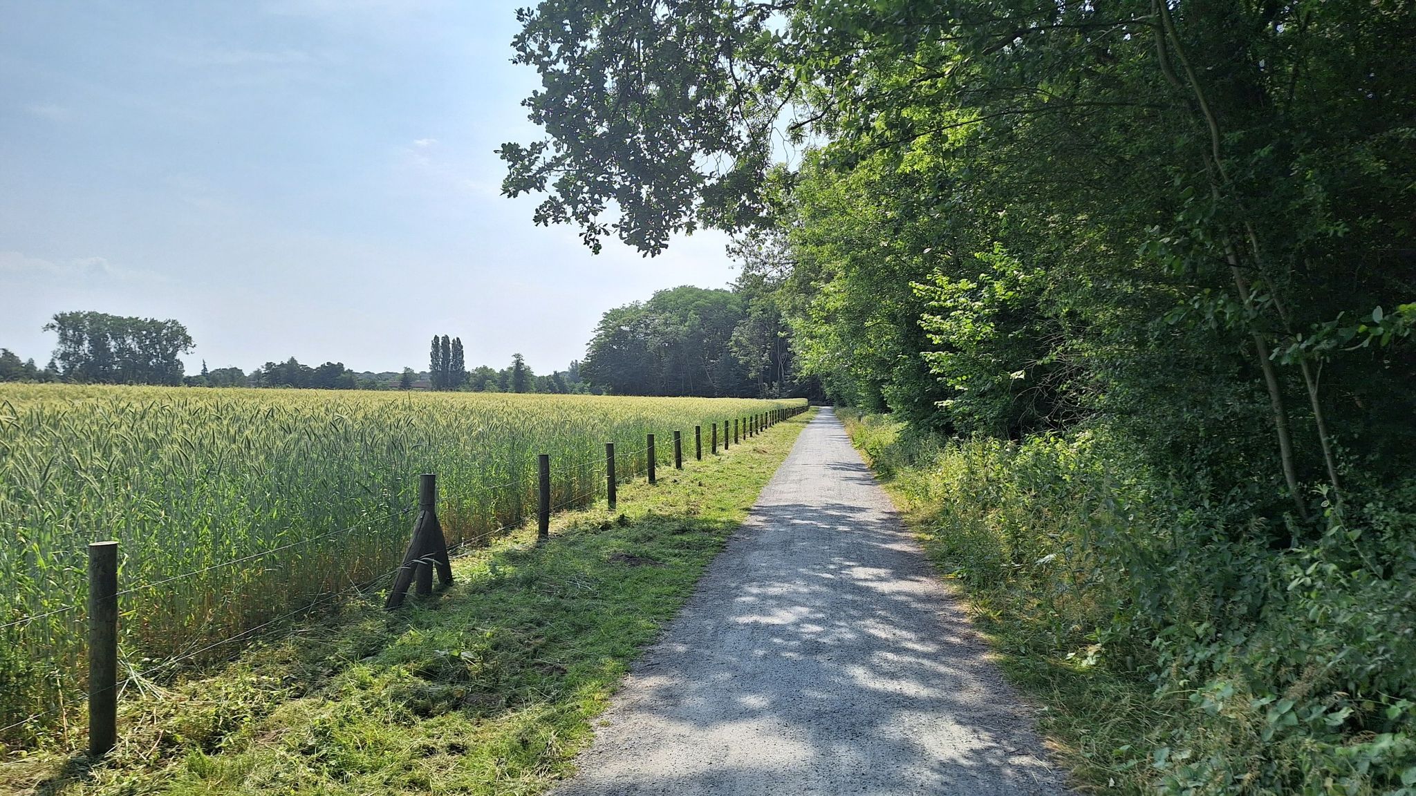 Dwaallichtjespad