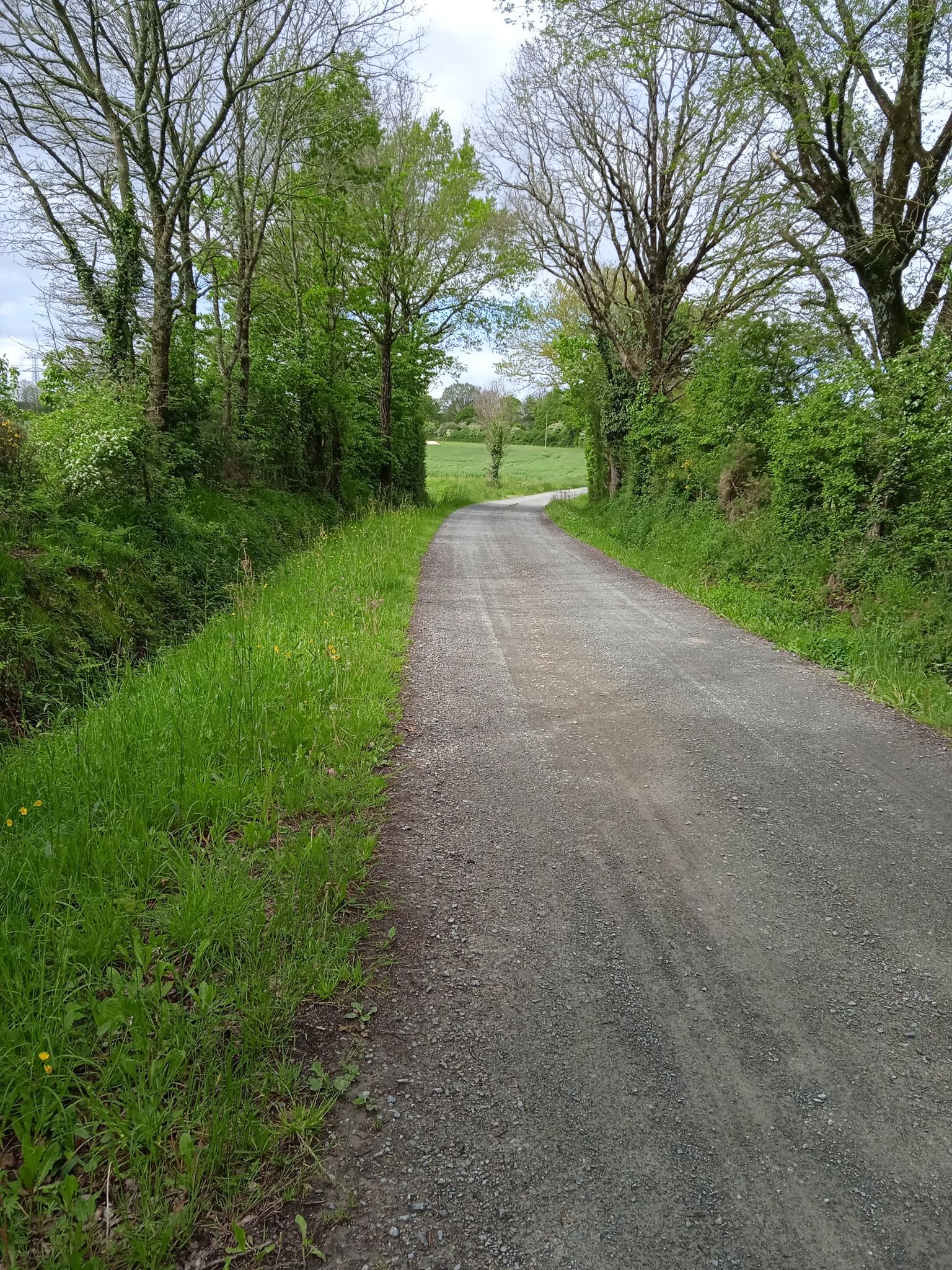 petit chemin 😁