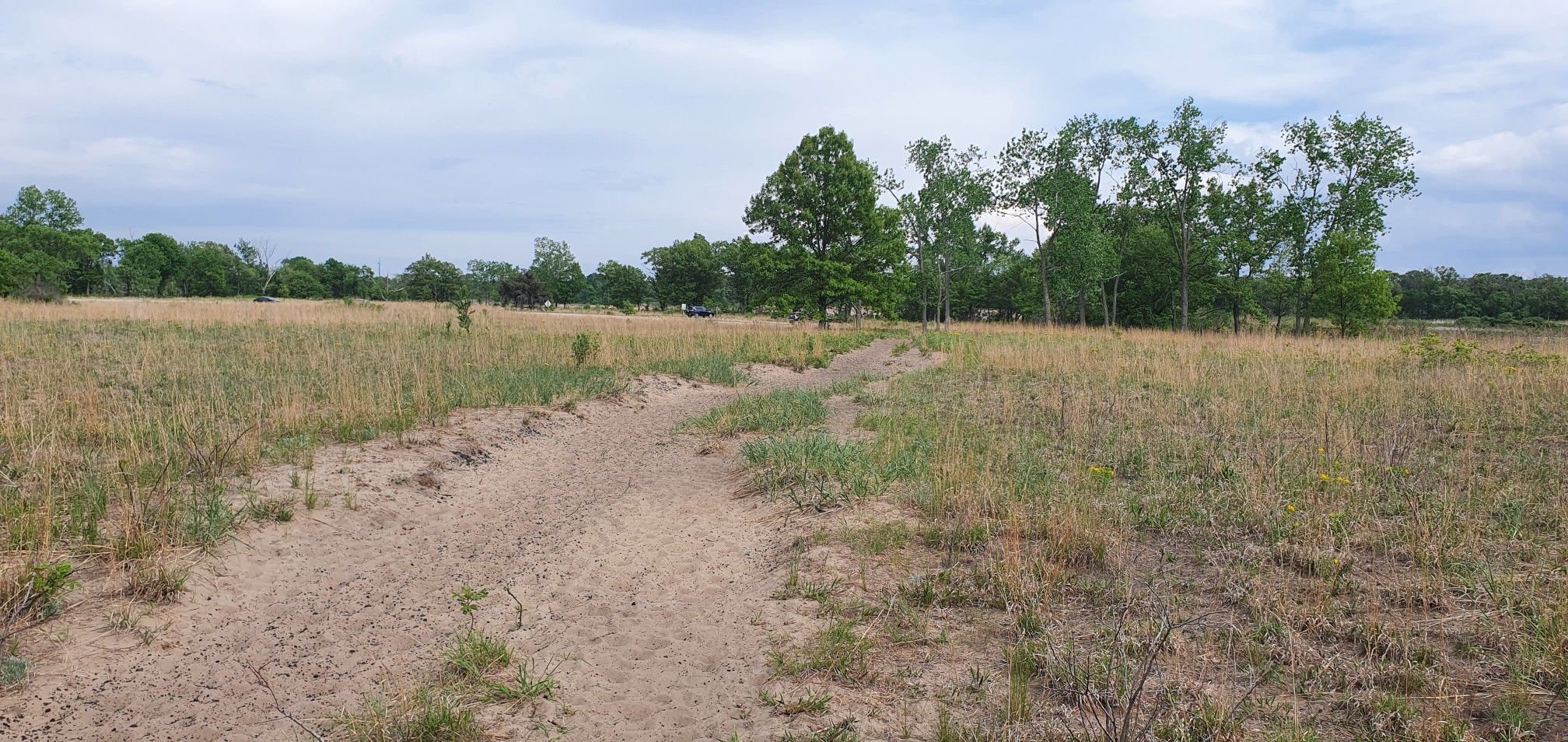 A sandy path winds through a wide, grassy field under an overcast sky. - Long Lake Trail loop from Indiana Dunes National Park