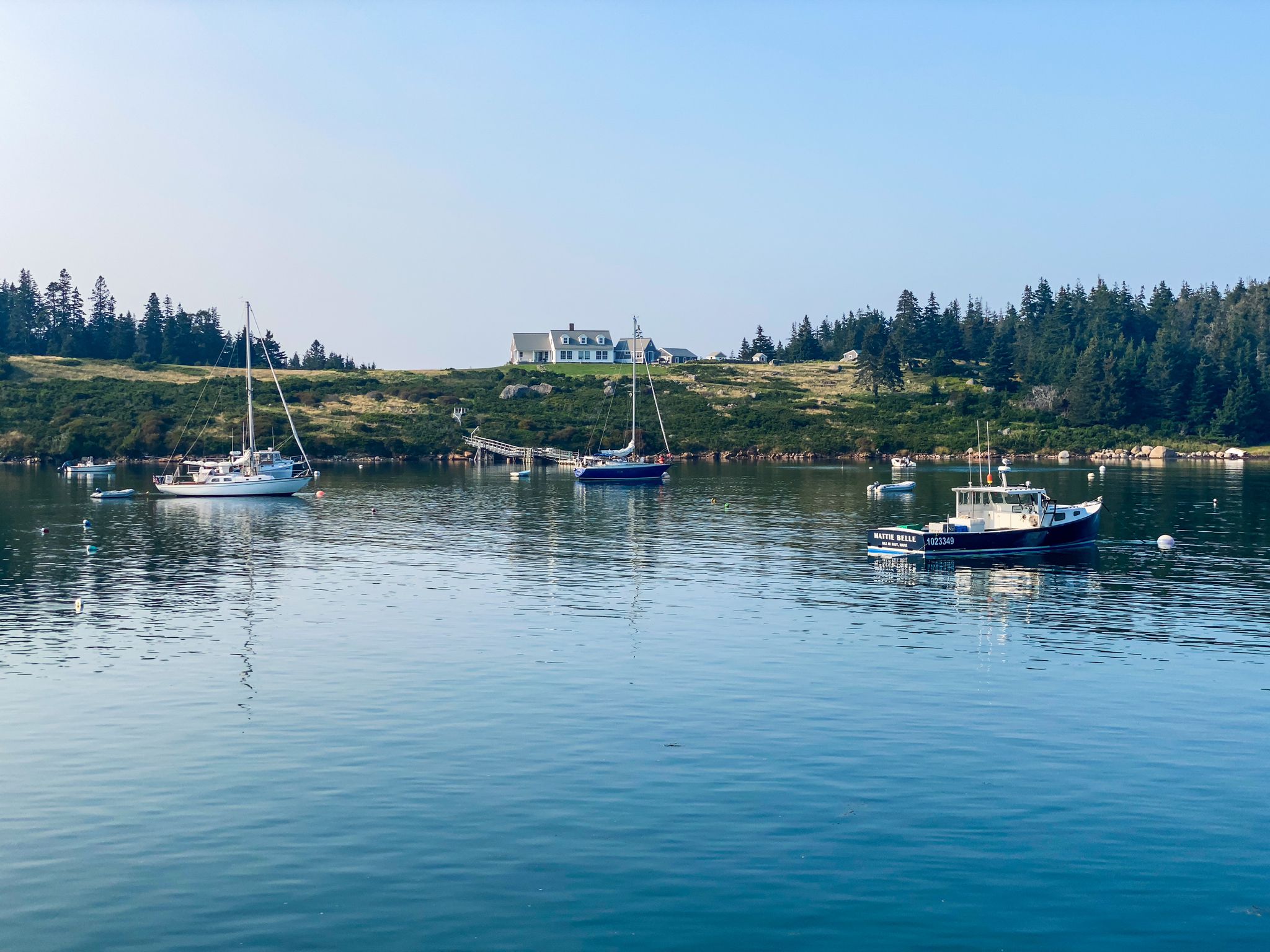 Several boats float on calm water near a wooded shoreline under clear skies. - Main Road & Park Road loop