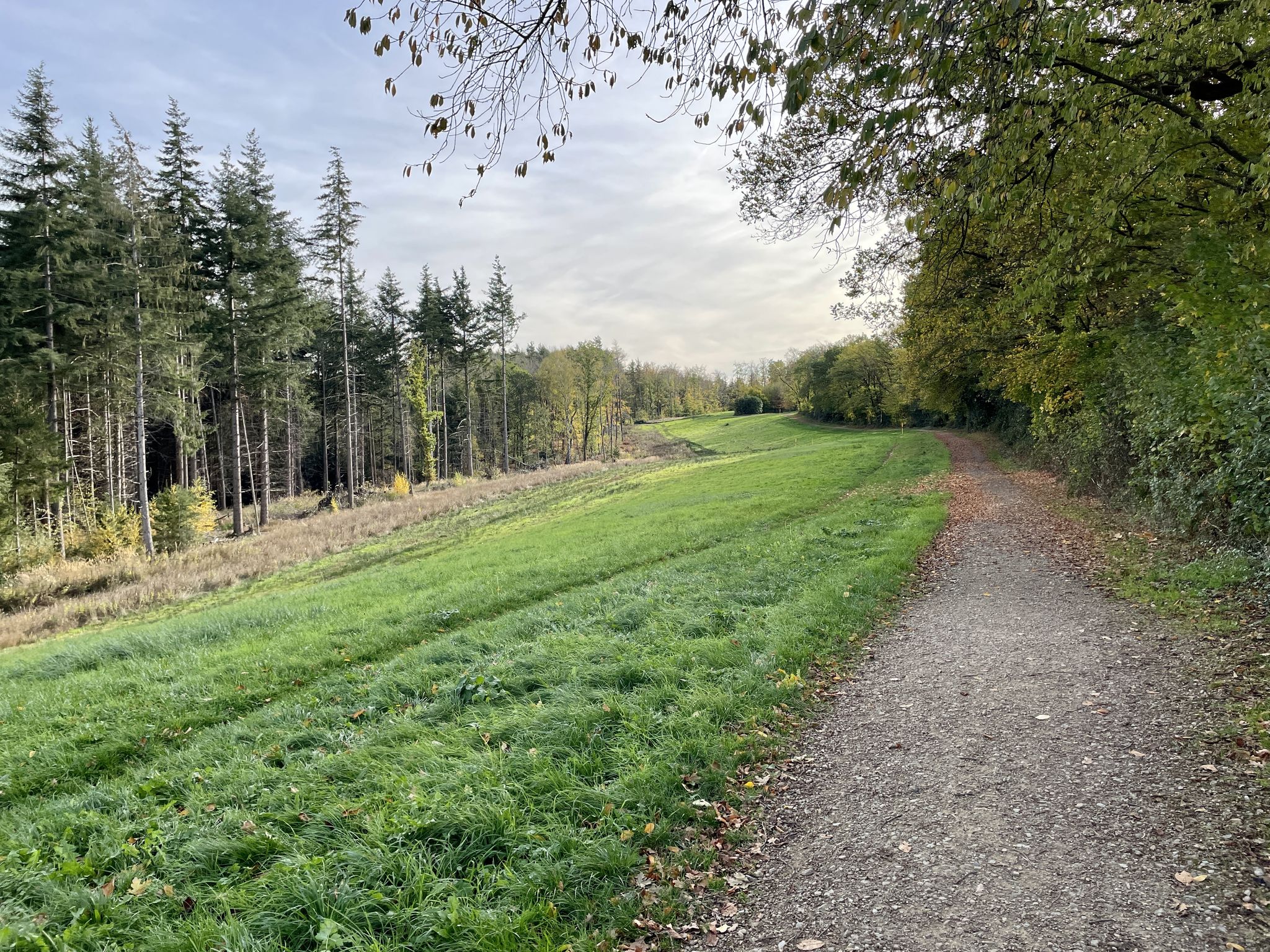 auf der Trasse der Gaspipeline