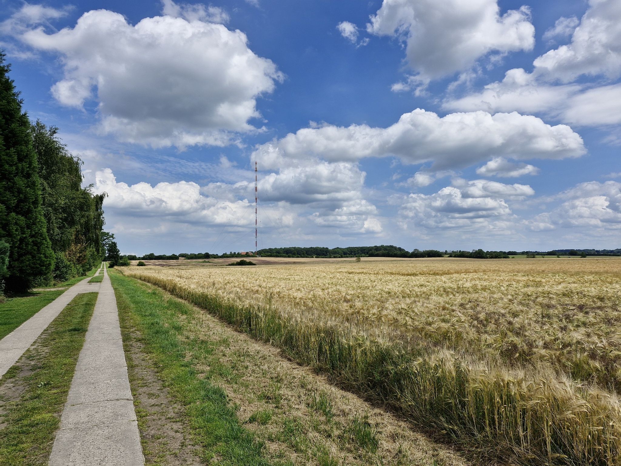 Blick auf den Langen Hugo
