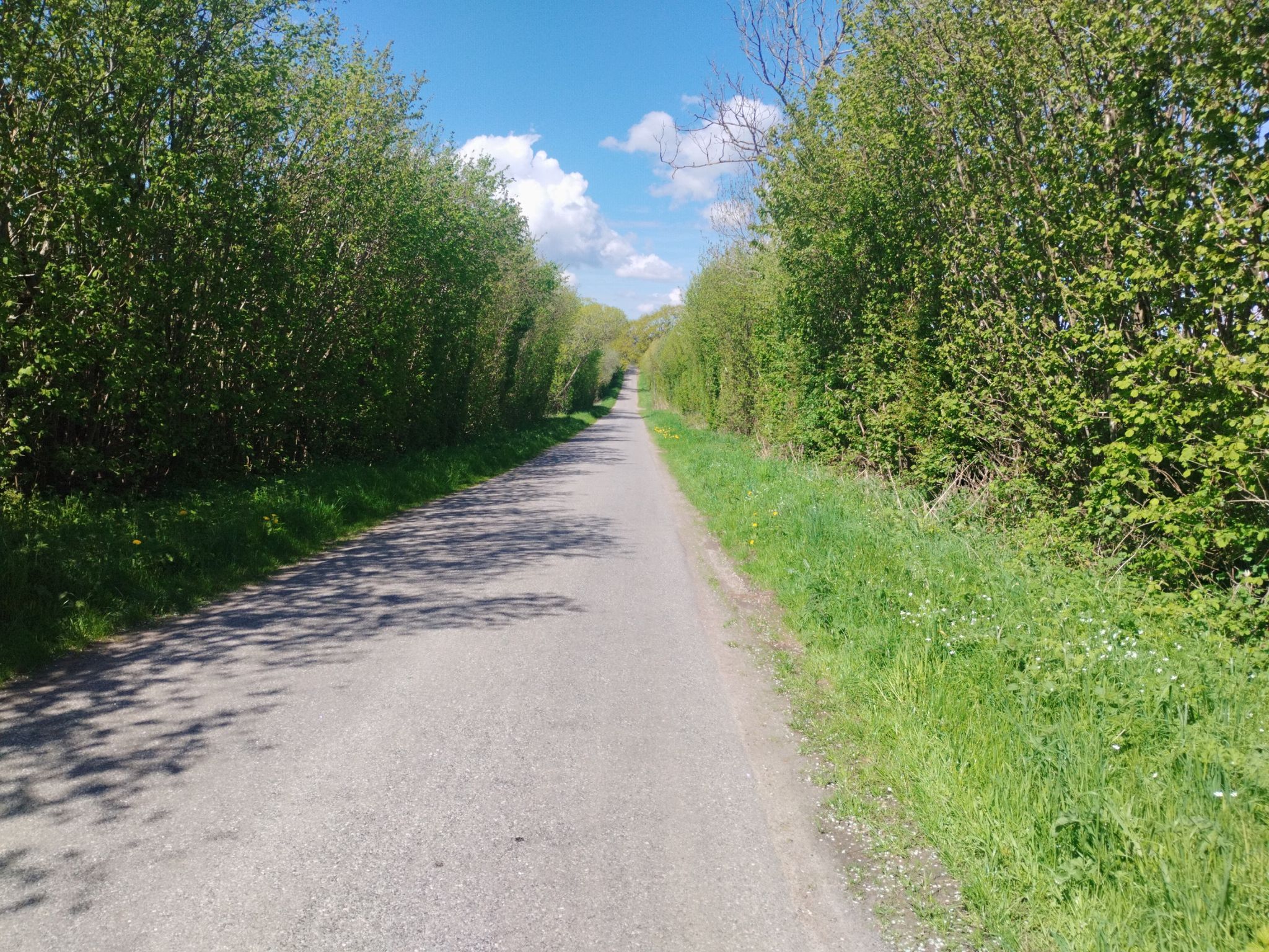 hügelige kleine Straße 