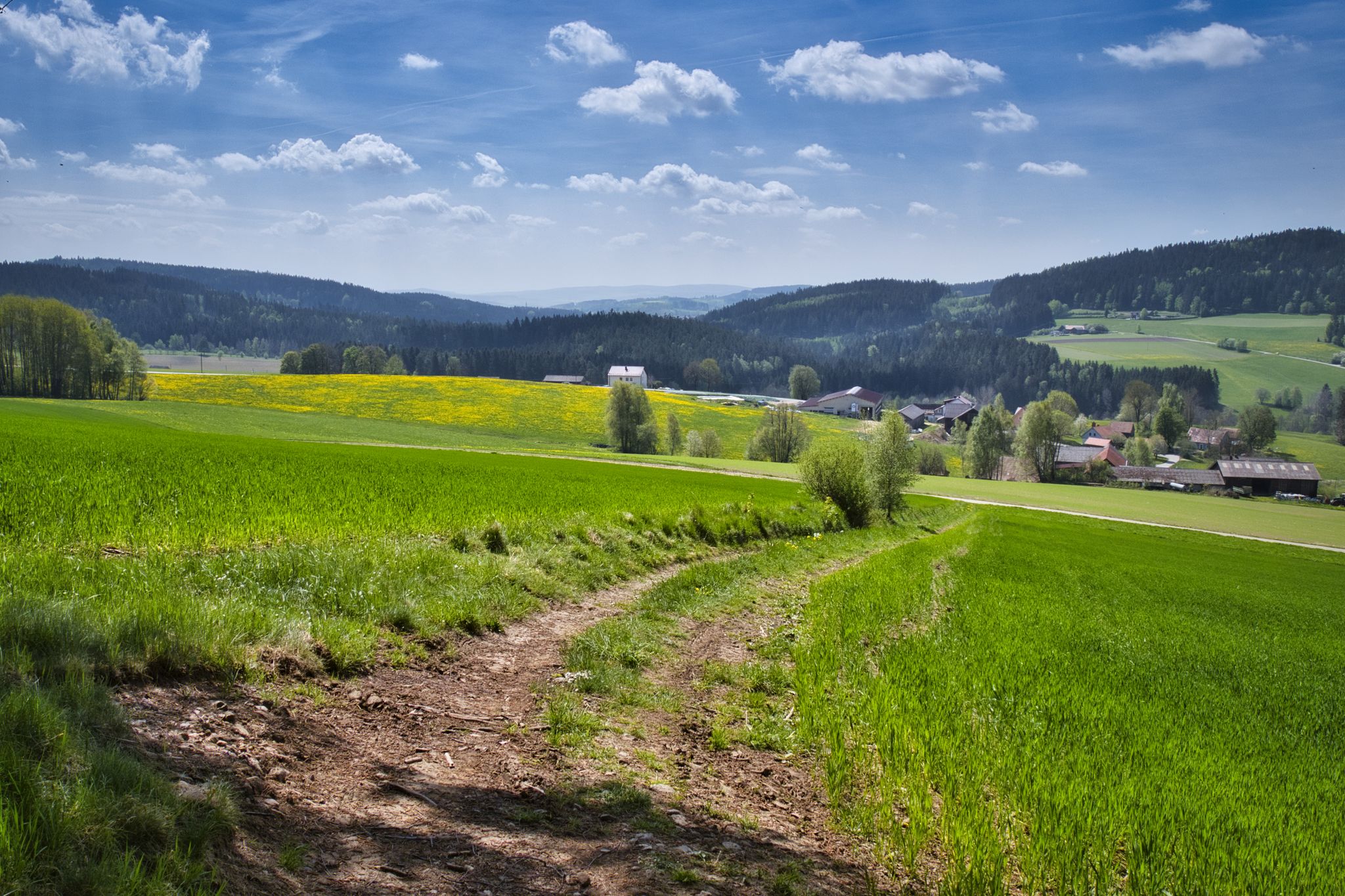 Blick über die Ortschaft Dimpfl