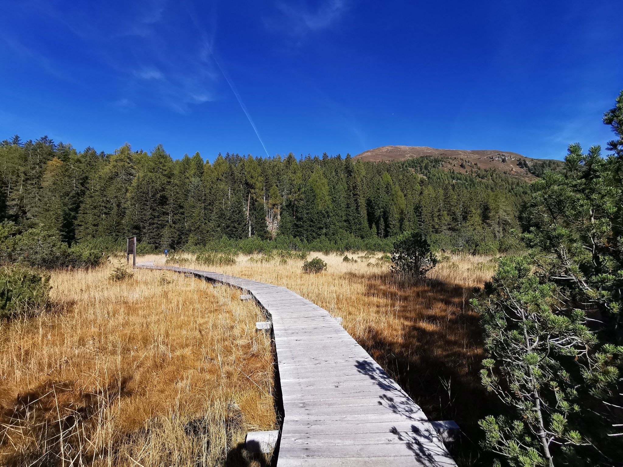 Piller Moor