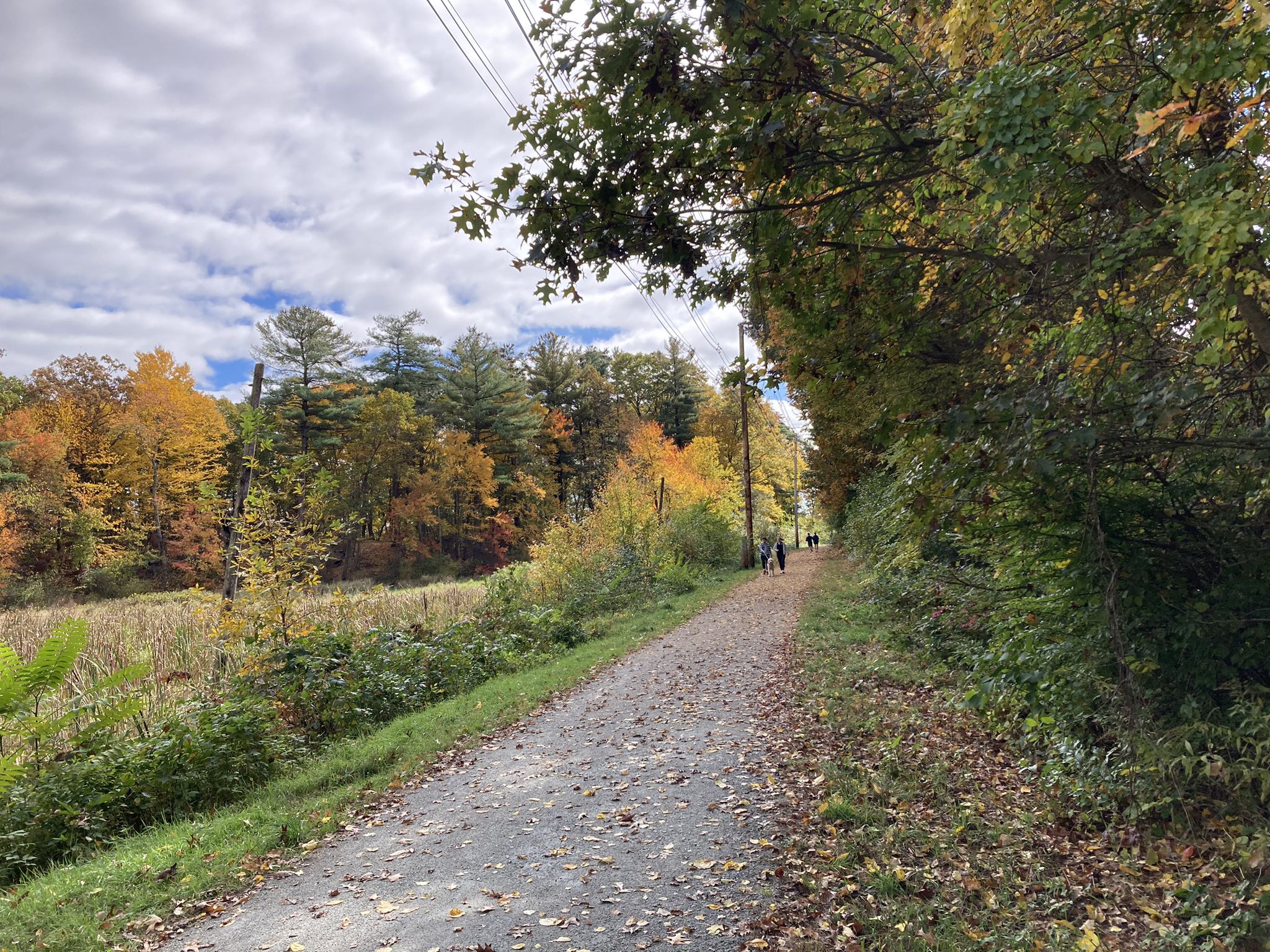 Gravel path winding through vibrant autumn trees and fields under a cloudy sky. - Danvers Rail Trail