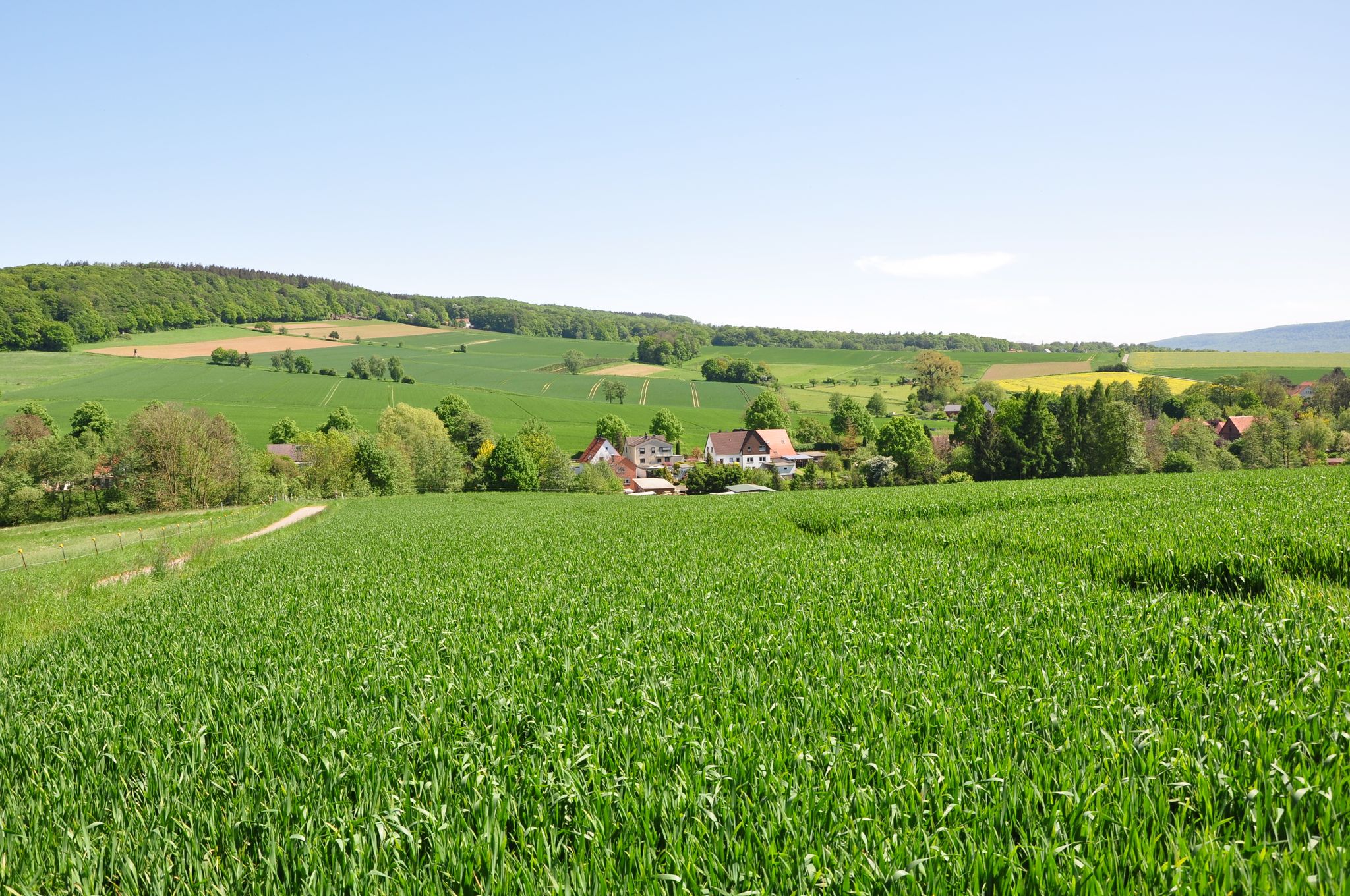 Über Dörpe hinweg der Osterberg