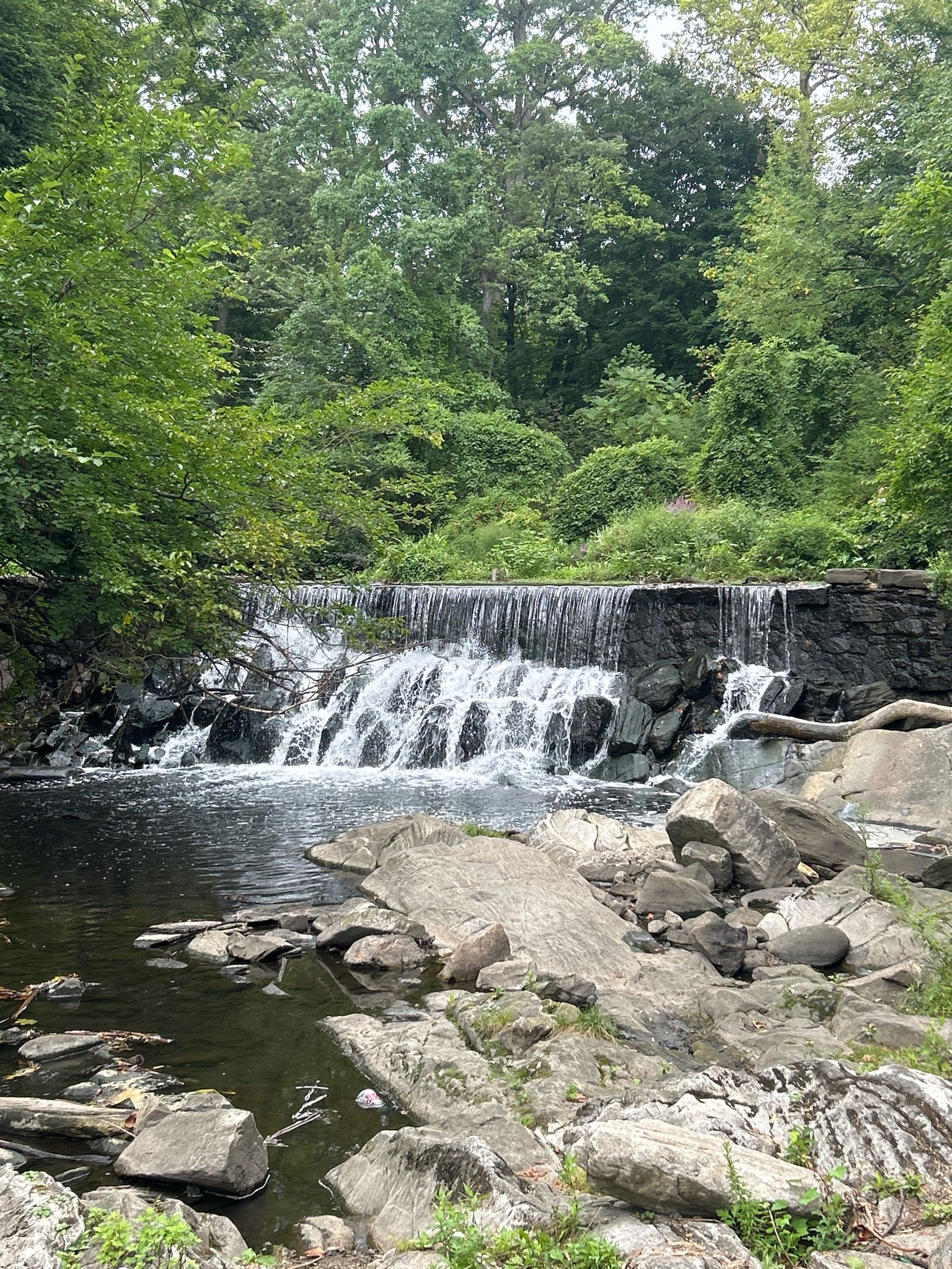 Waterfall Bridge