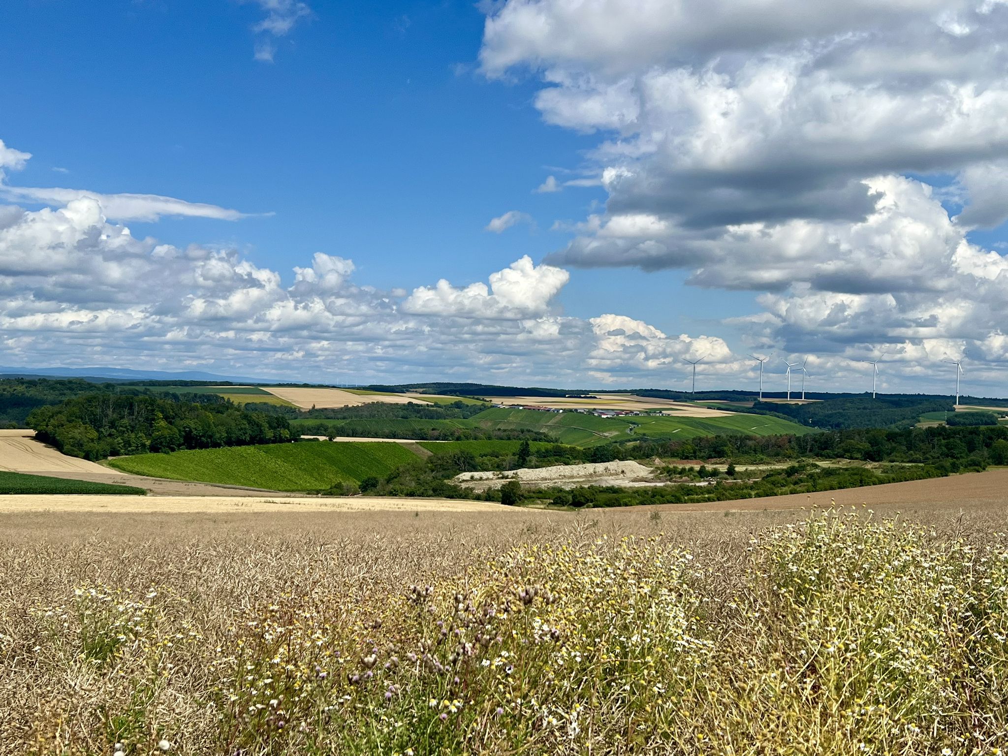 Toller Blick über Felder und Weinberge
