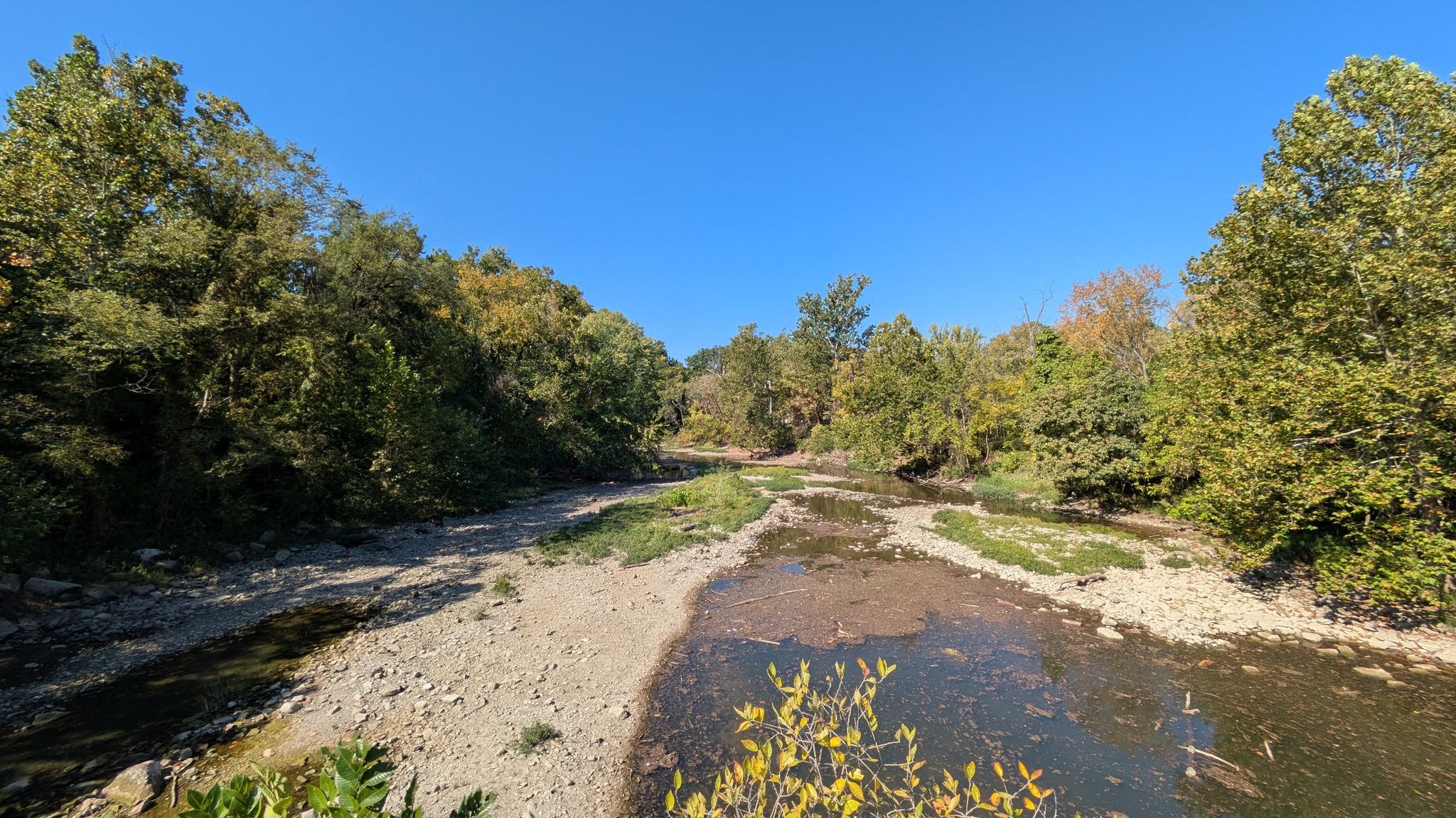 A shallow, rocky riverbed with green trees under a clear blue sky. - Monon and Fall Creek Trail Loop