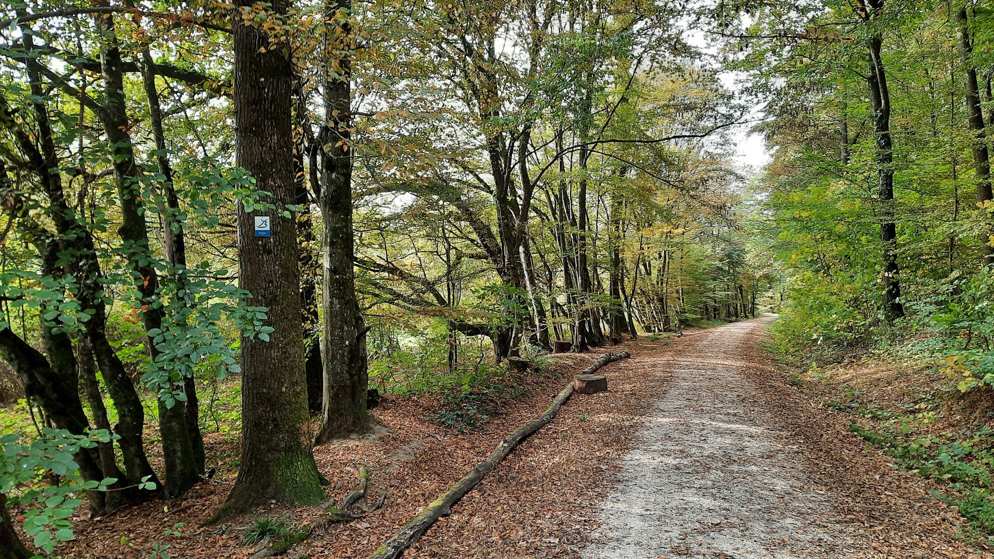 Schöne Wegstrecke