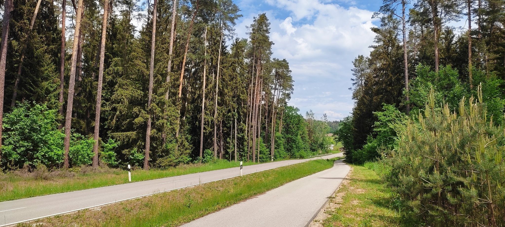 Radweg zw. Pruppach u. Pyrbaum - bei Pruppach