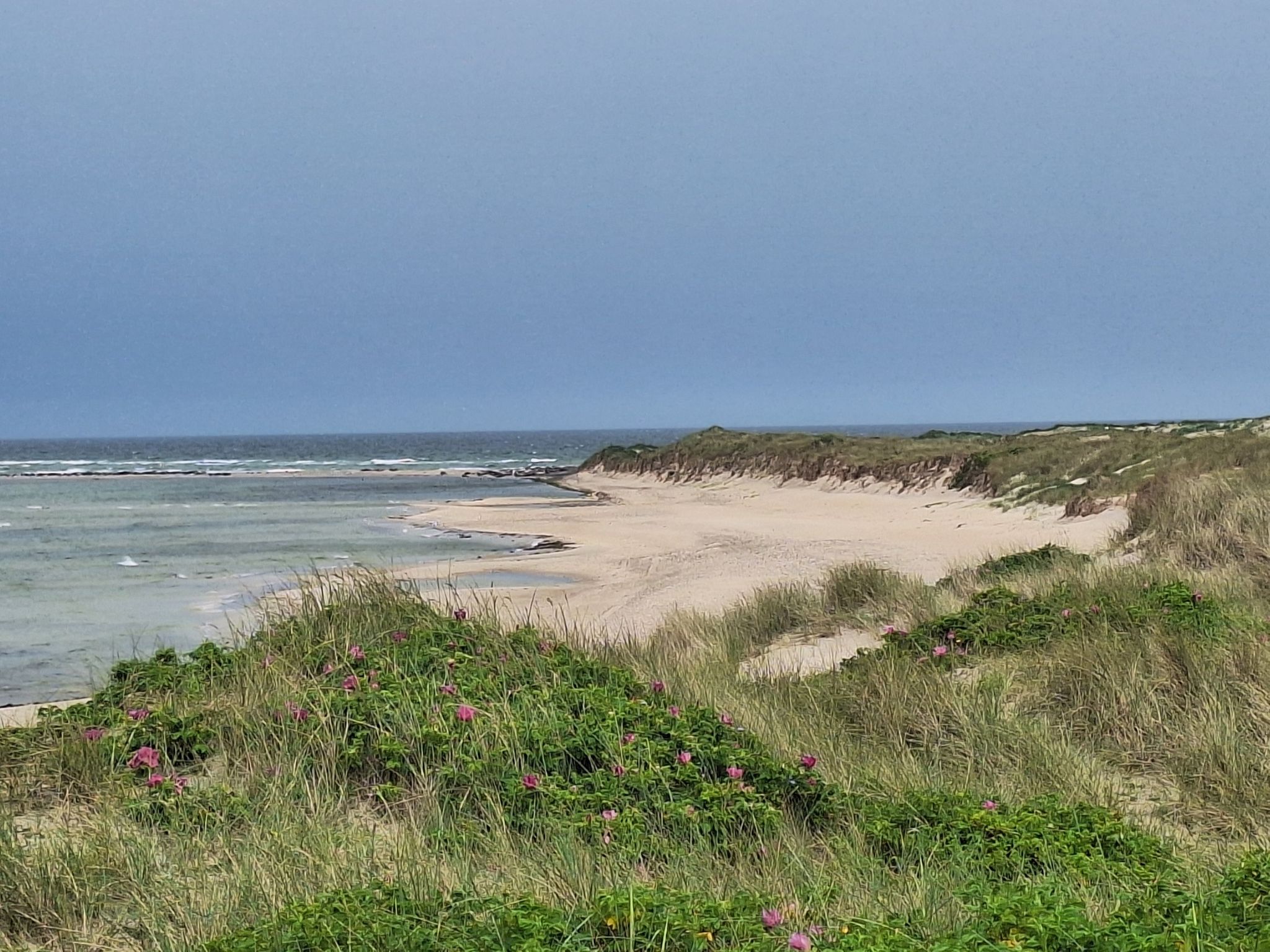 Blick nach Naturschutzgebiet Totten