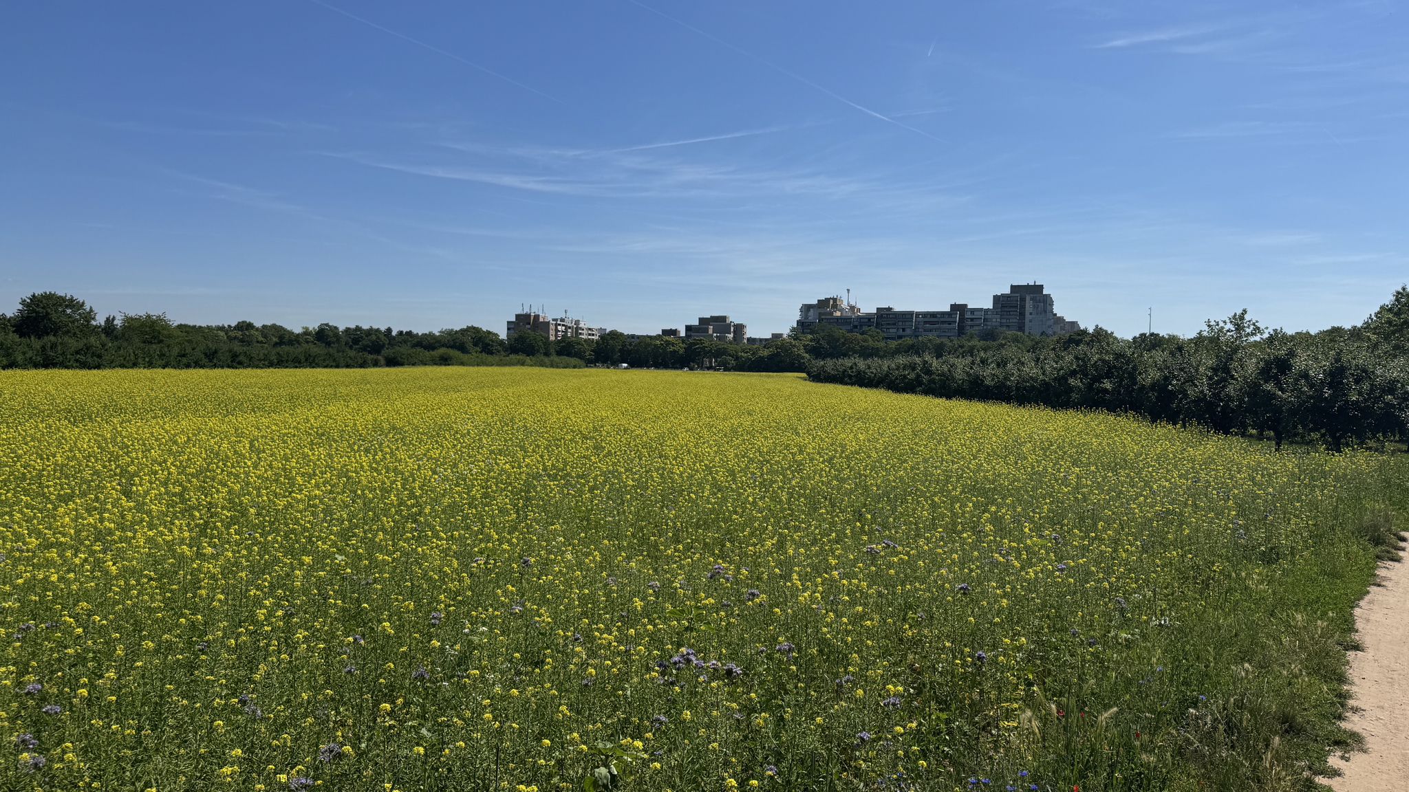 Blick auf Finthen