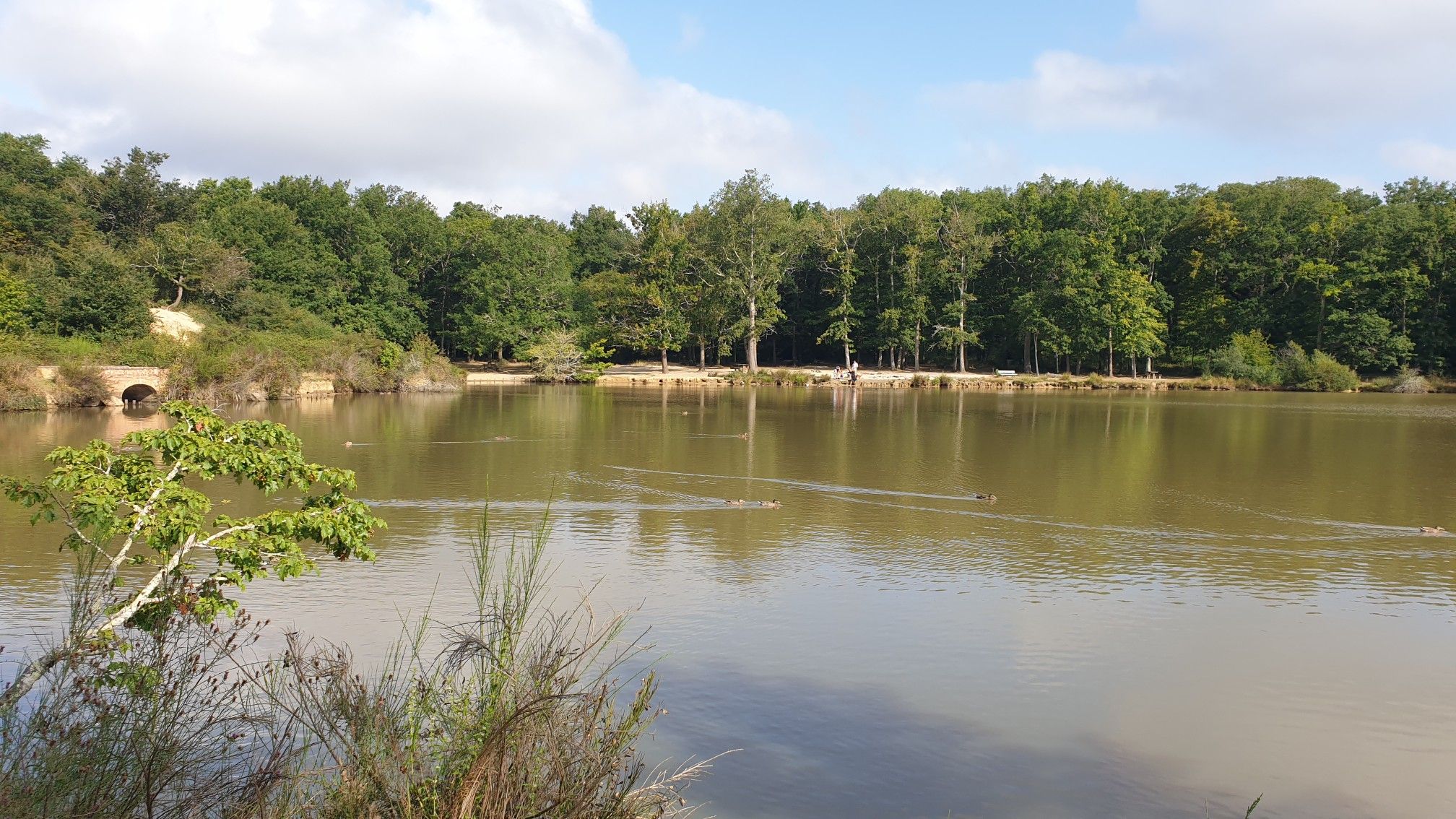 Lac de Labordette 2