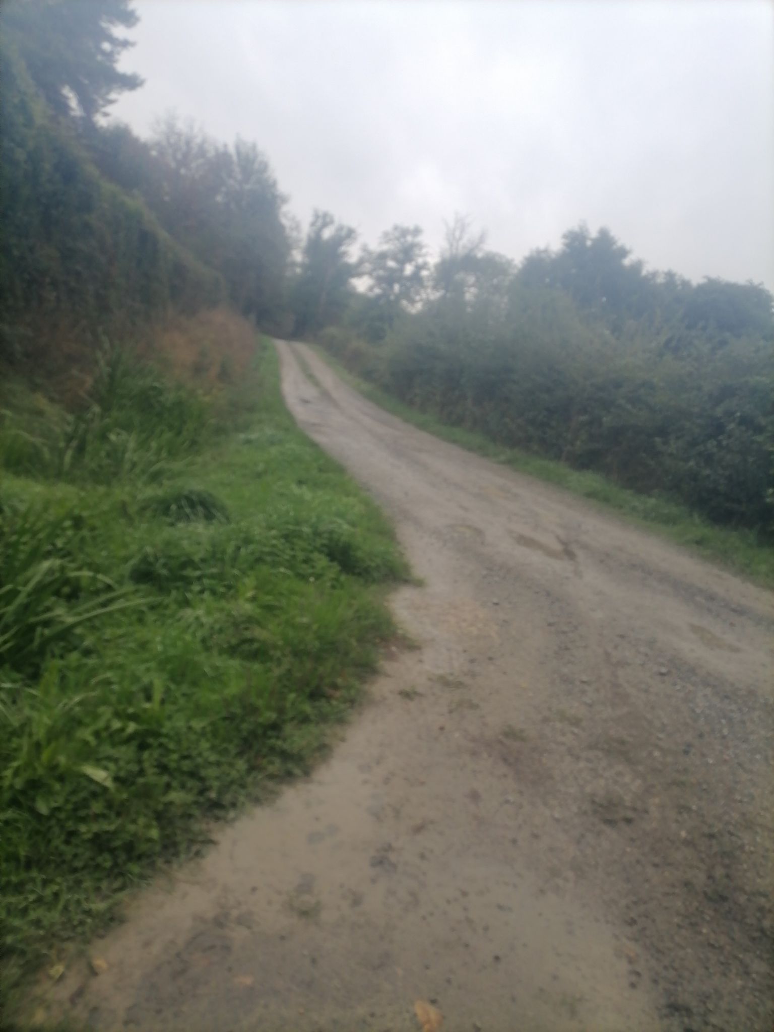bonus zone 5. binôme (garder le rythme à 2) 1.2km