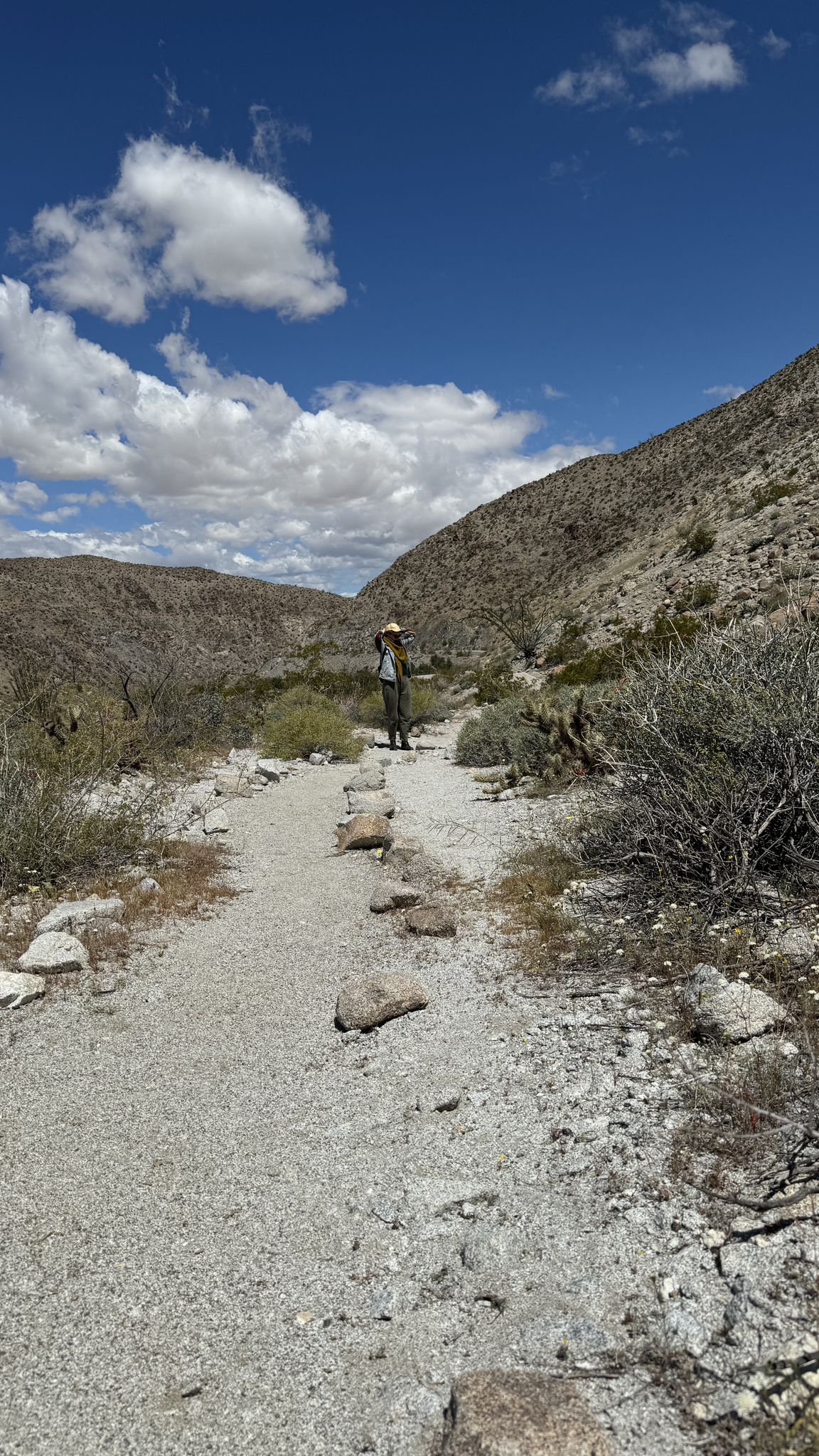 A person hikes a rocky desert path under a bright, cloudy sky. - Narrows Earth Trail
