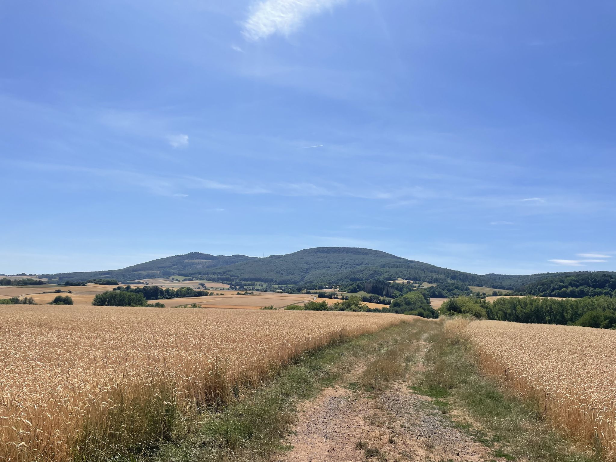 Blick auf das Meissner-Vorland vom Radweg zwischen Orferode und Kammerbach