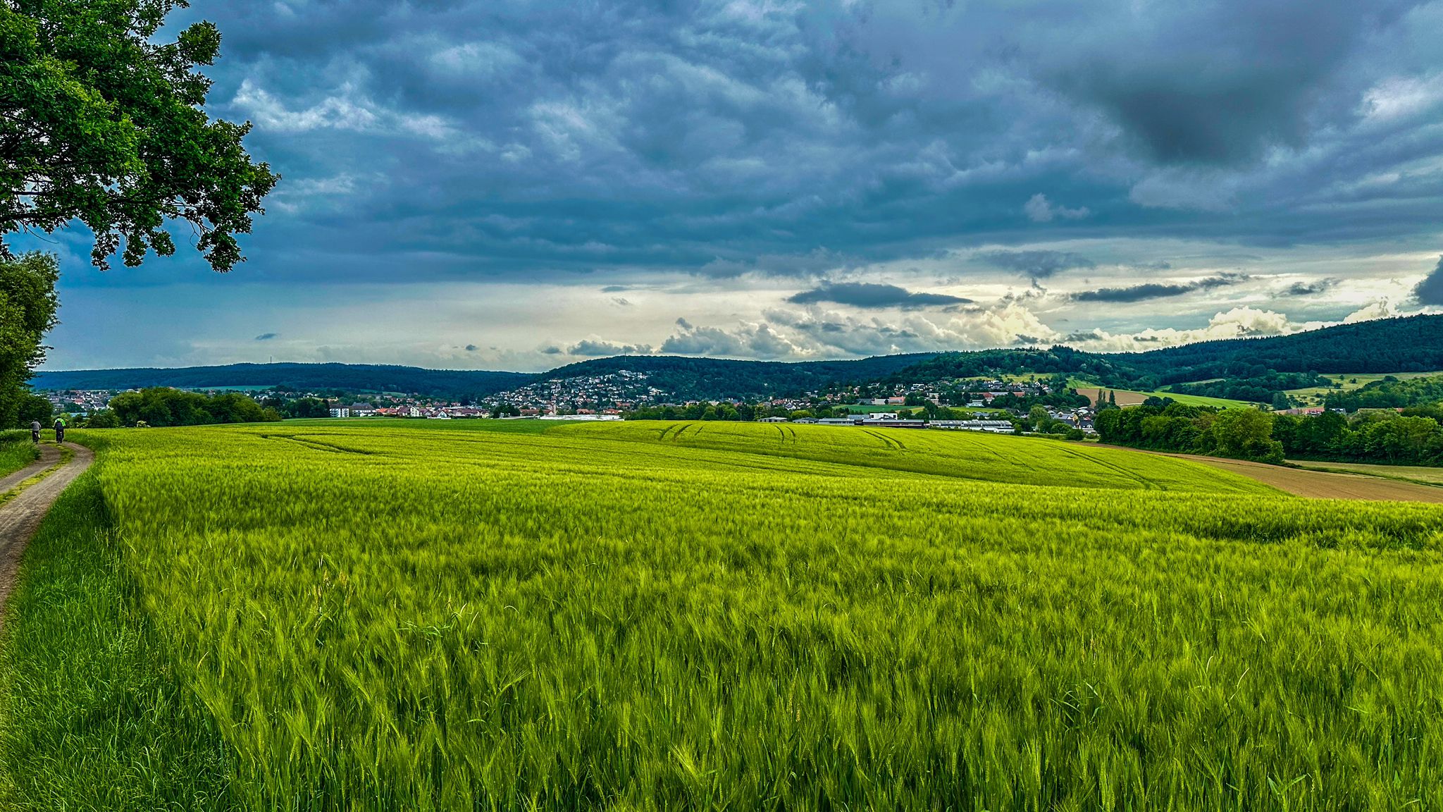 Blick von Vonhausen nach Büdingen