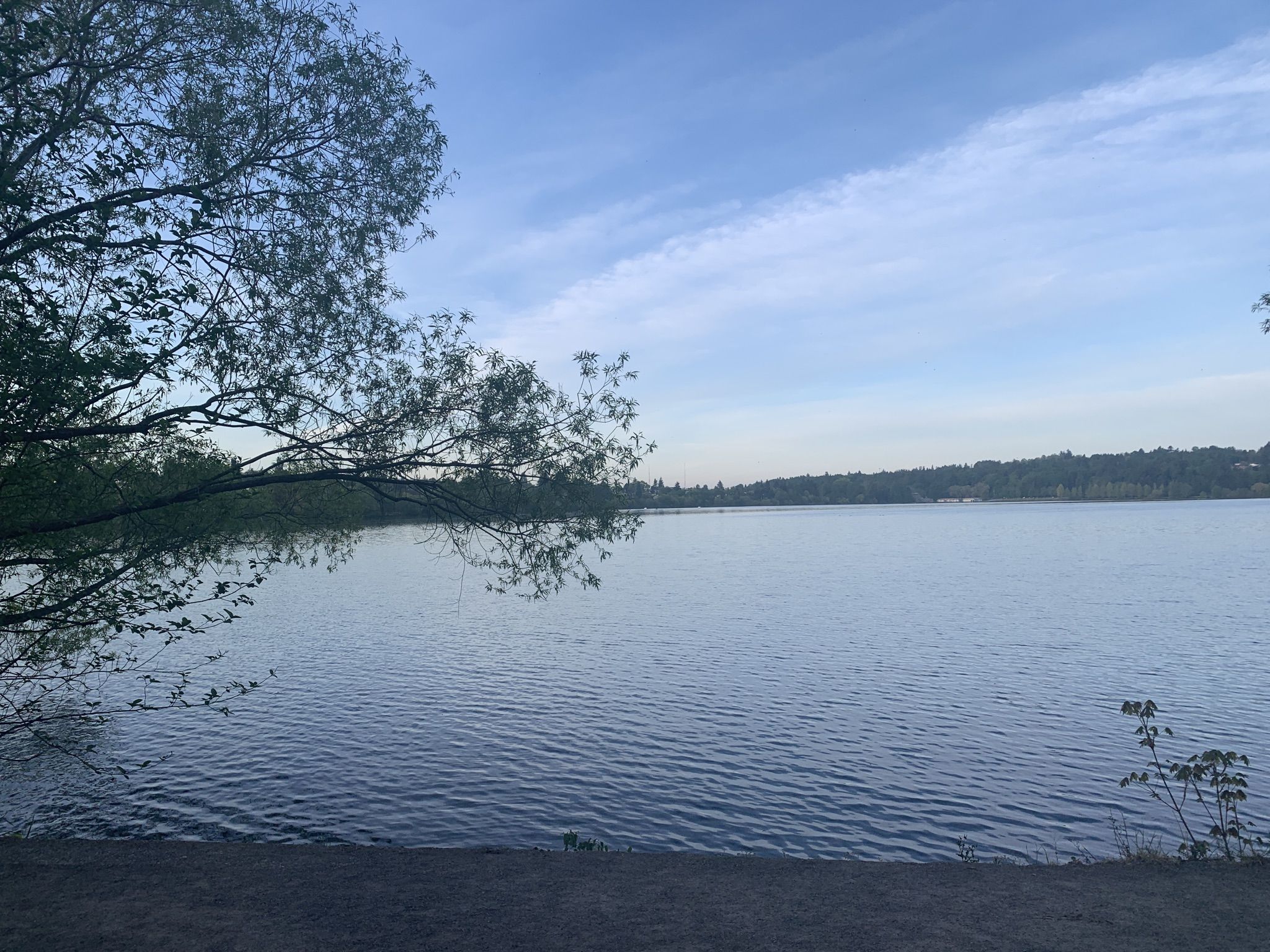 Serene lake under a soft blue sky, framed by dark tree branches. - Green Lake Park – Echo Lake loop from Roosevelt