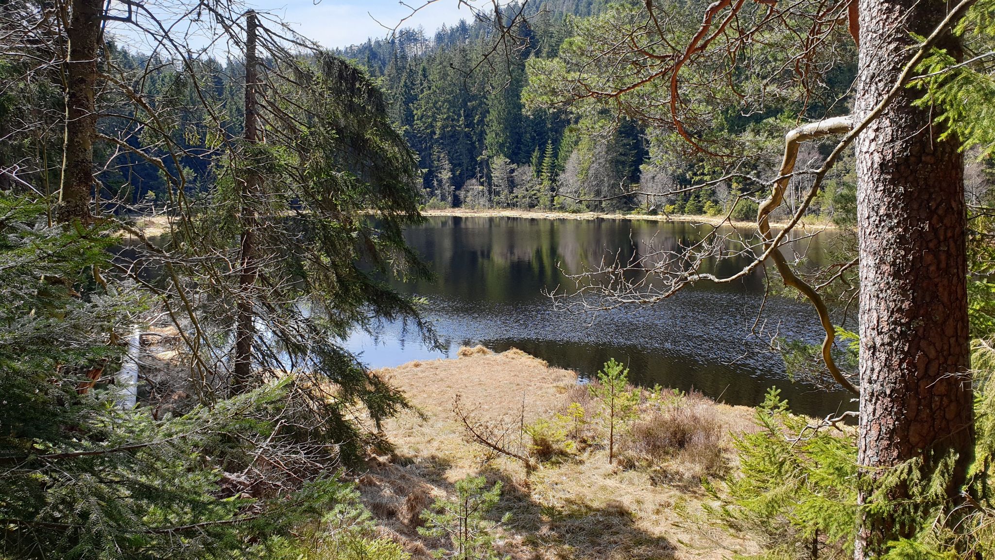 Herrenwieser See